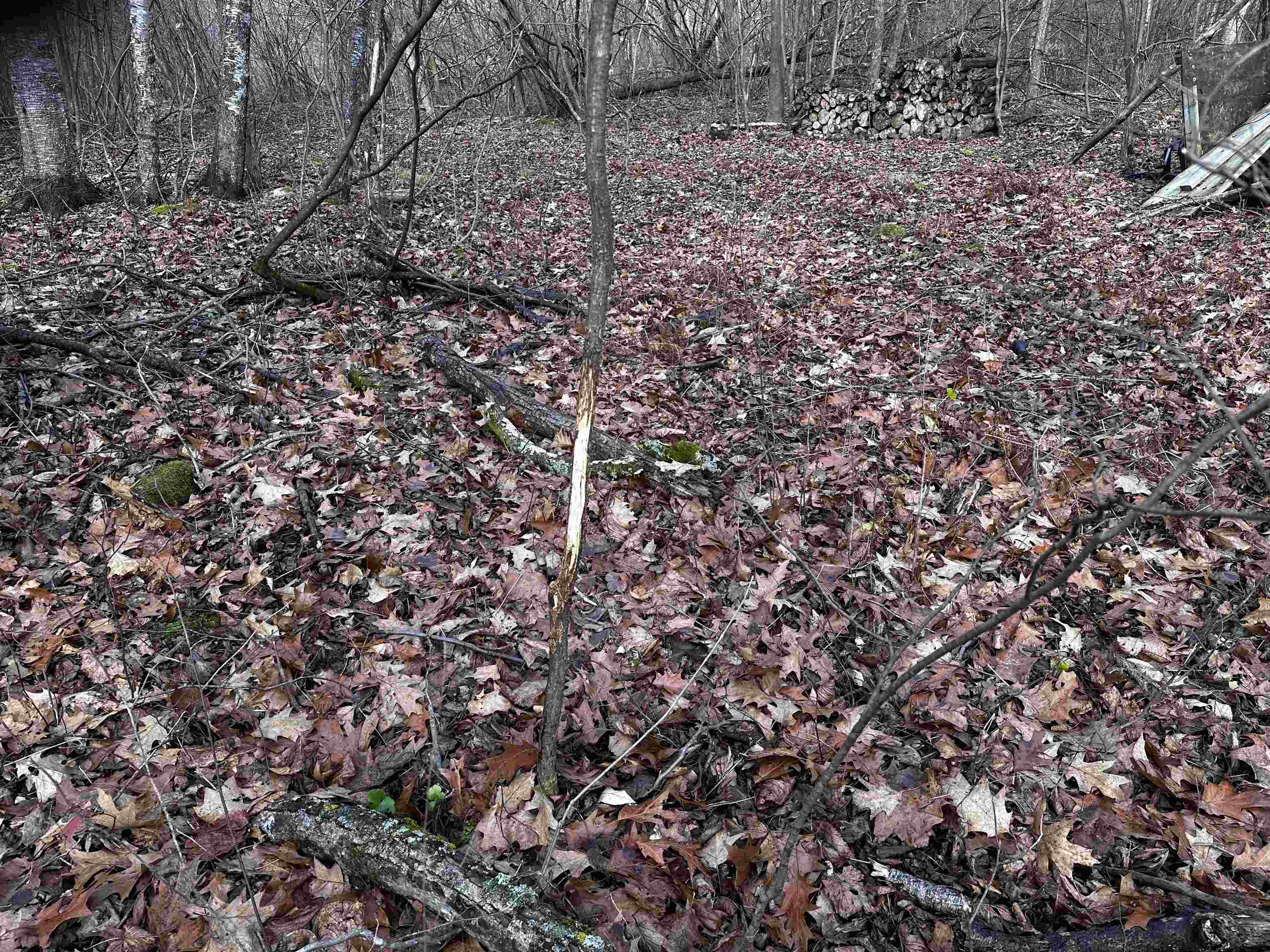 00 Saumer Road