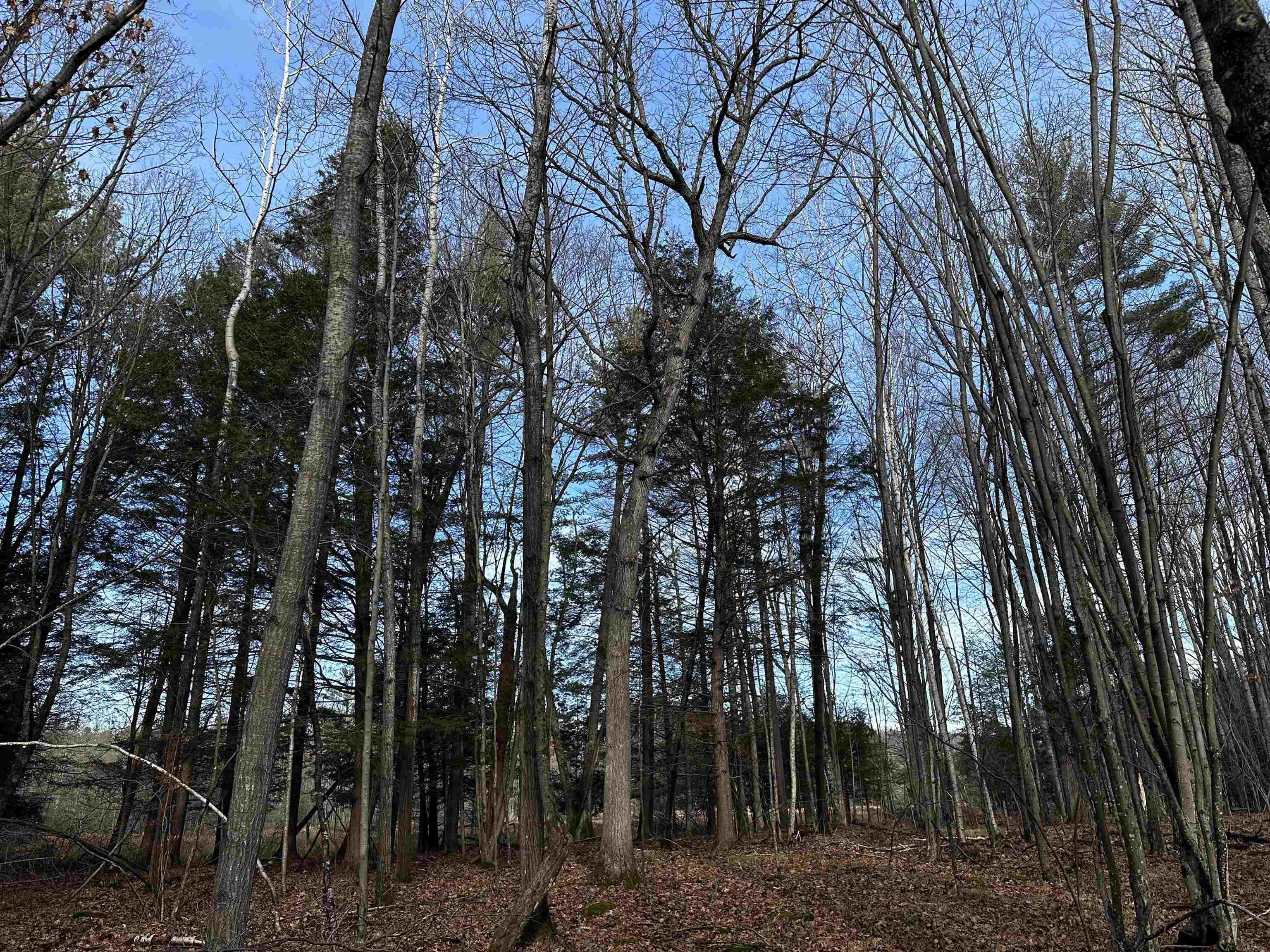 00 Saumer Road