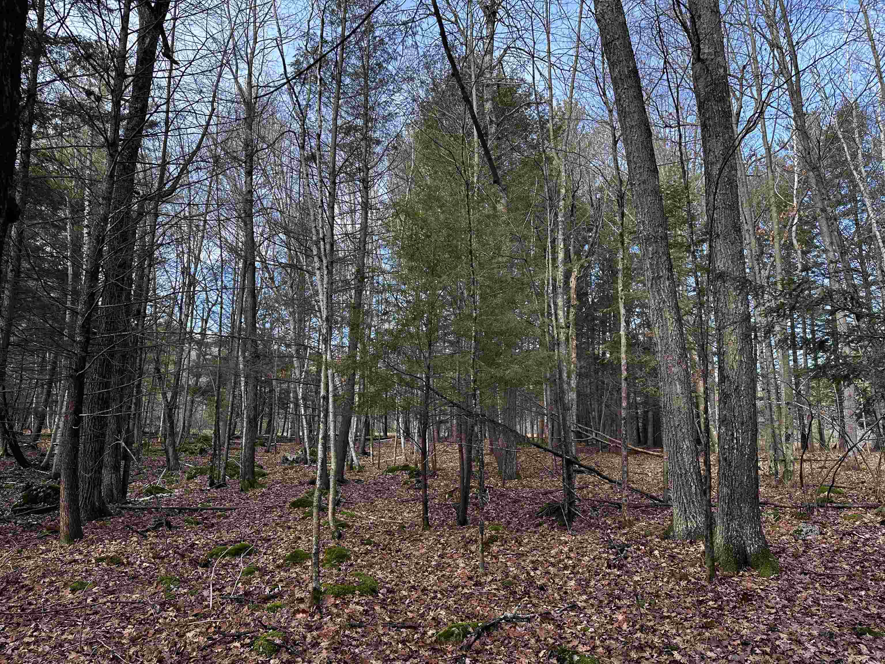 00 Saumer Road
