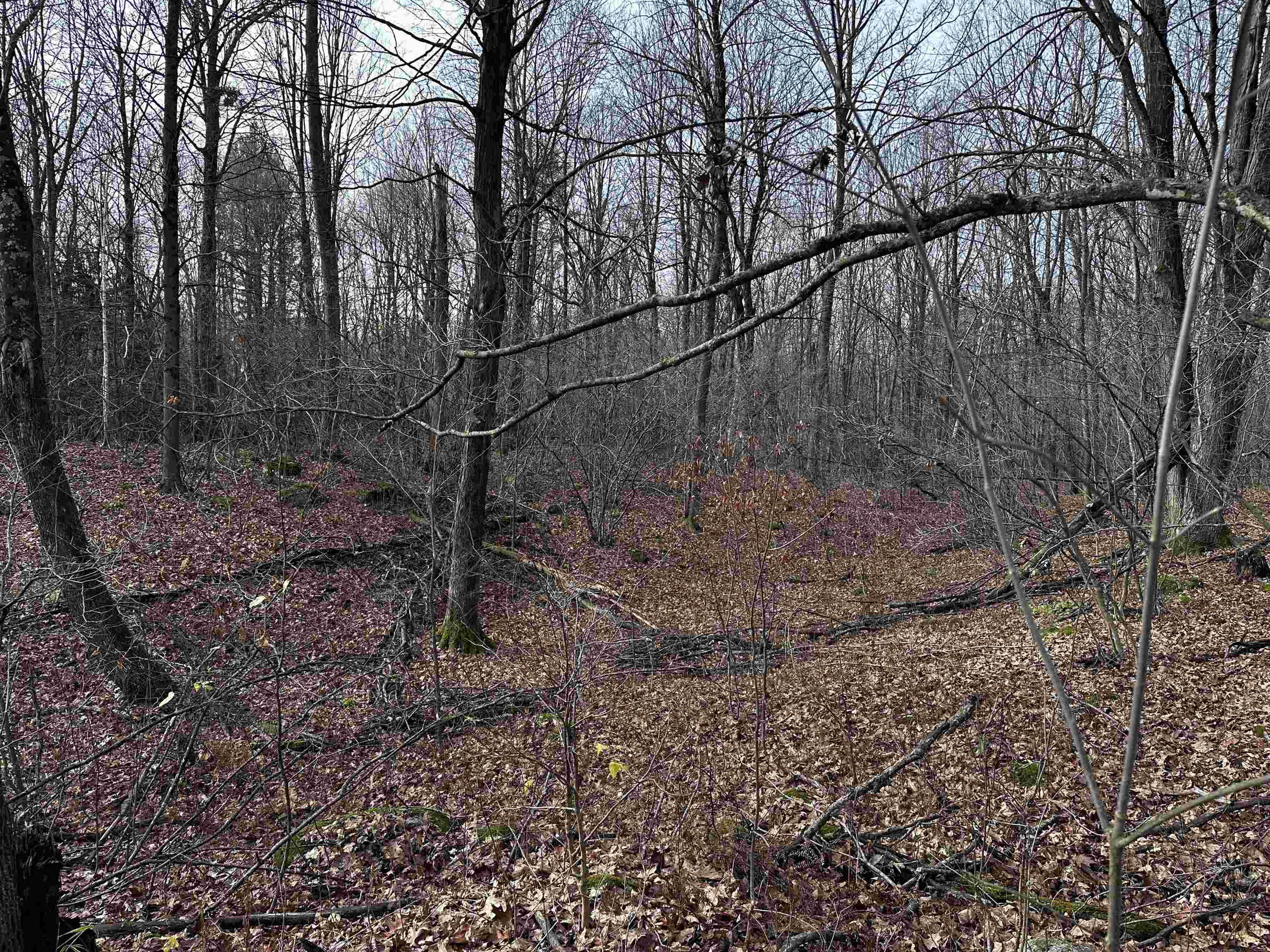 00 Saumer Road