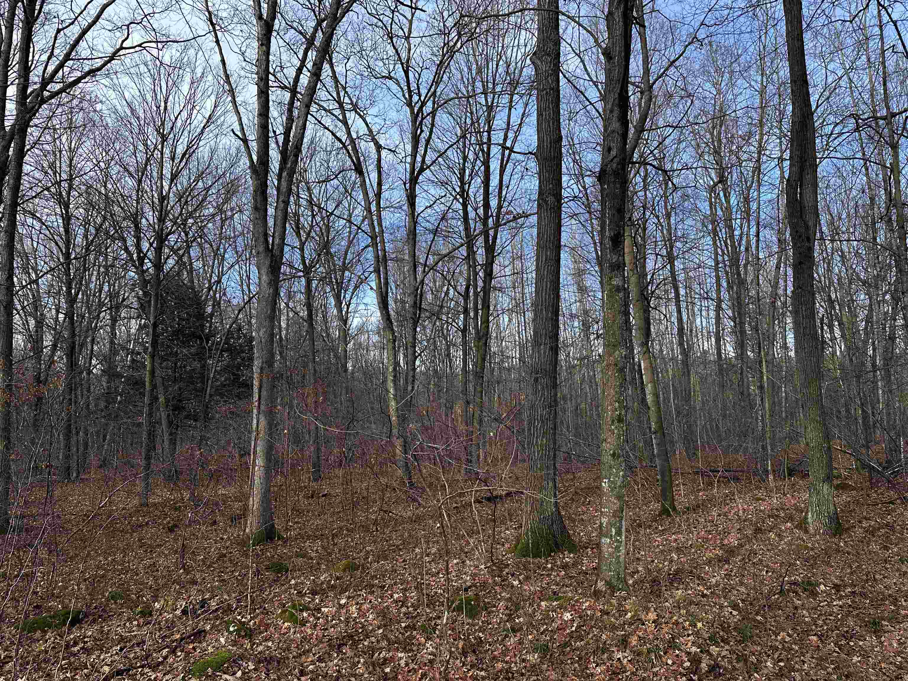 00 Saumer Road