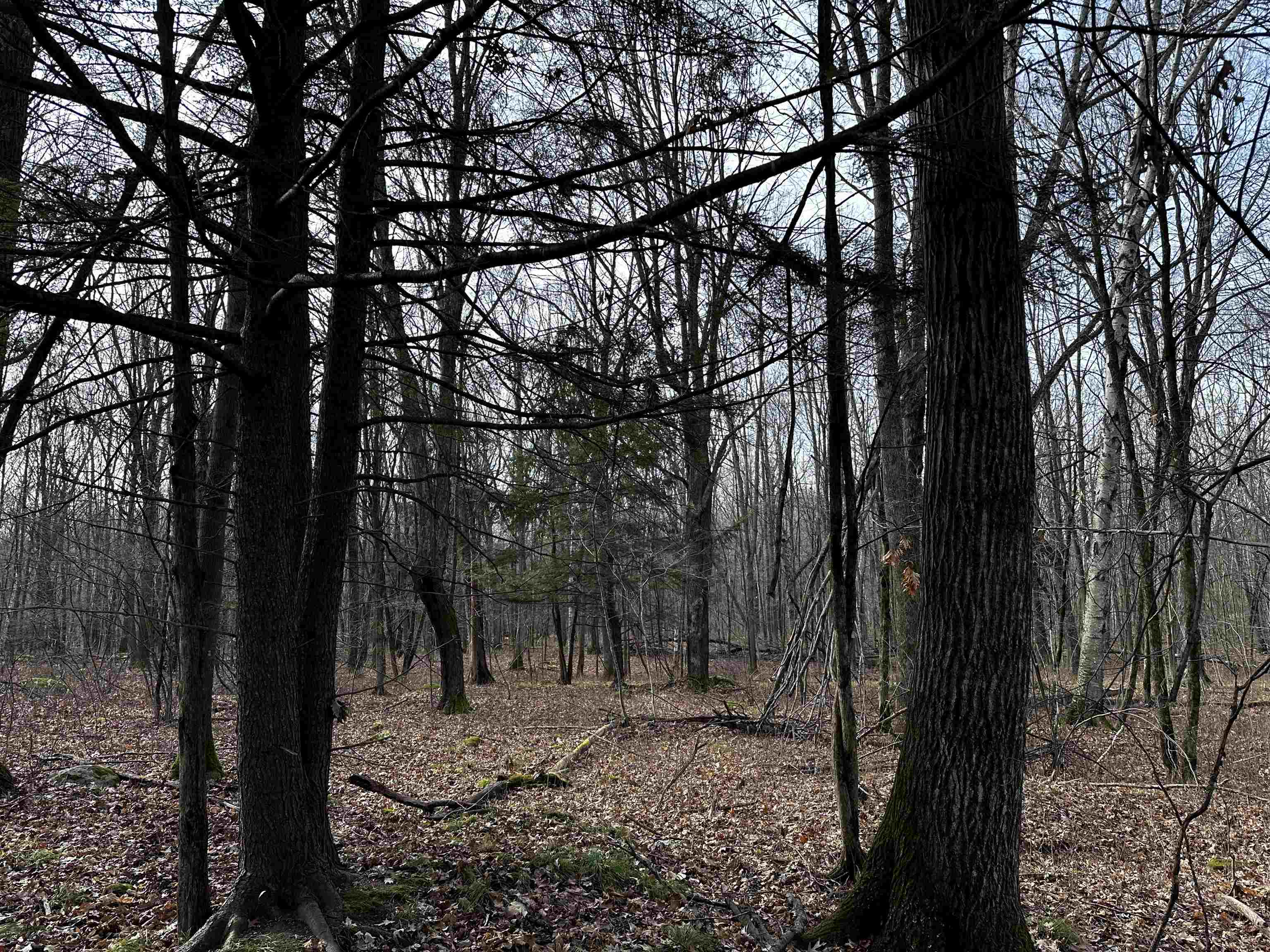 00 Saumer Road