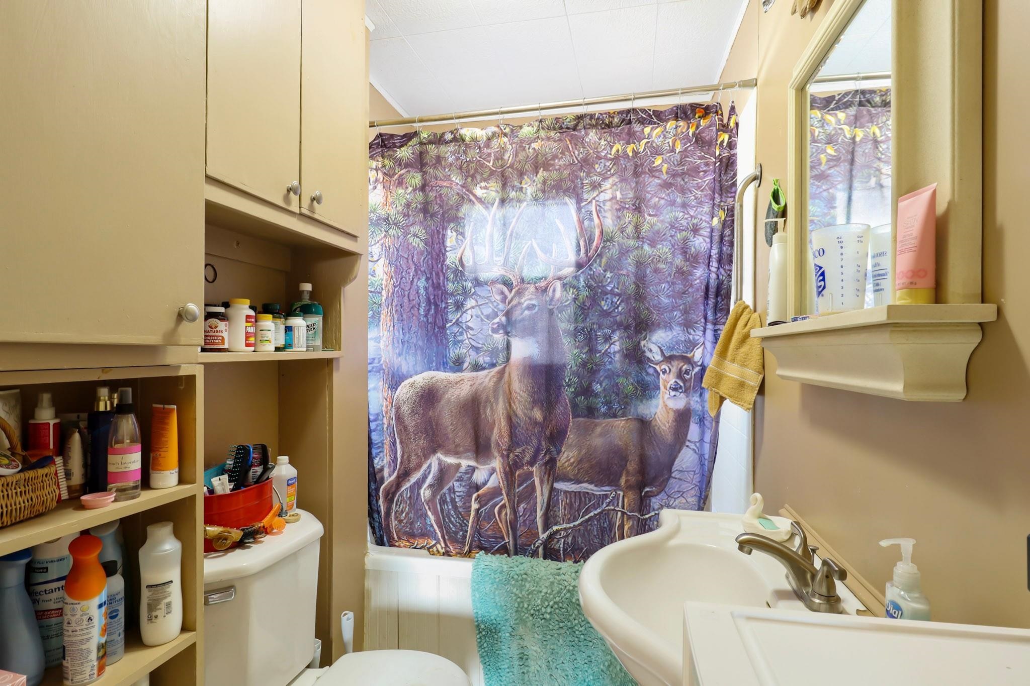 523 STATE HIGHWAY 73, Nekoosa, Wisconsin 54457, 3 Bedrooms Bedrooms, ,1 BathroomBathrooms,Residential,For Sale,523 STATE HIGHWAY 73,22500887