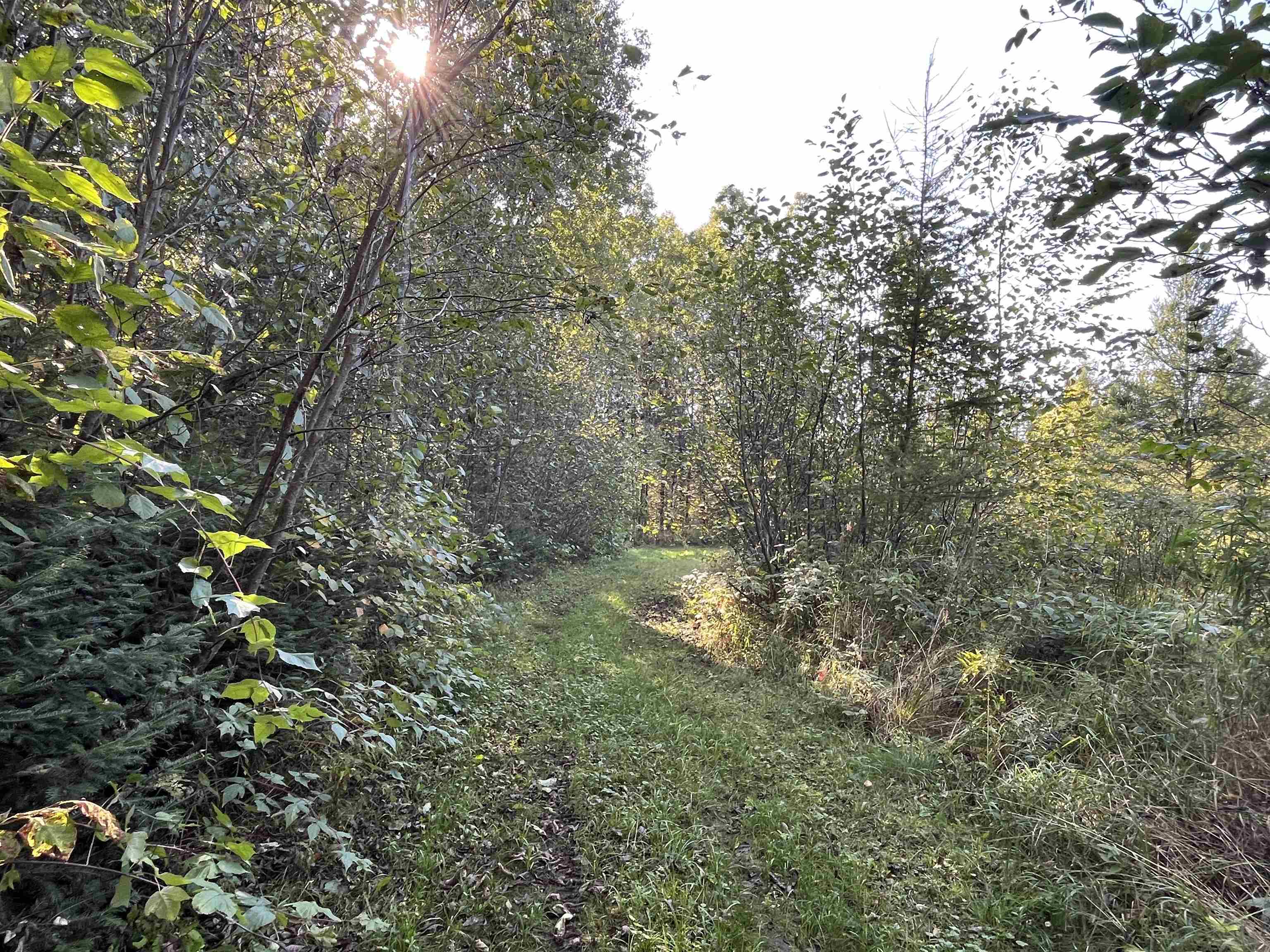 W5817 W OLD 8 ROAD W, Prentice, Wisconsin 54556, 1 Bedroom Bedrooms, ,2 BathroomsBathrooms,Residential,For Sale,W5817 W OLD 8 ROAD W,22500988