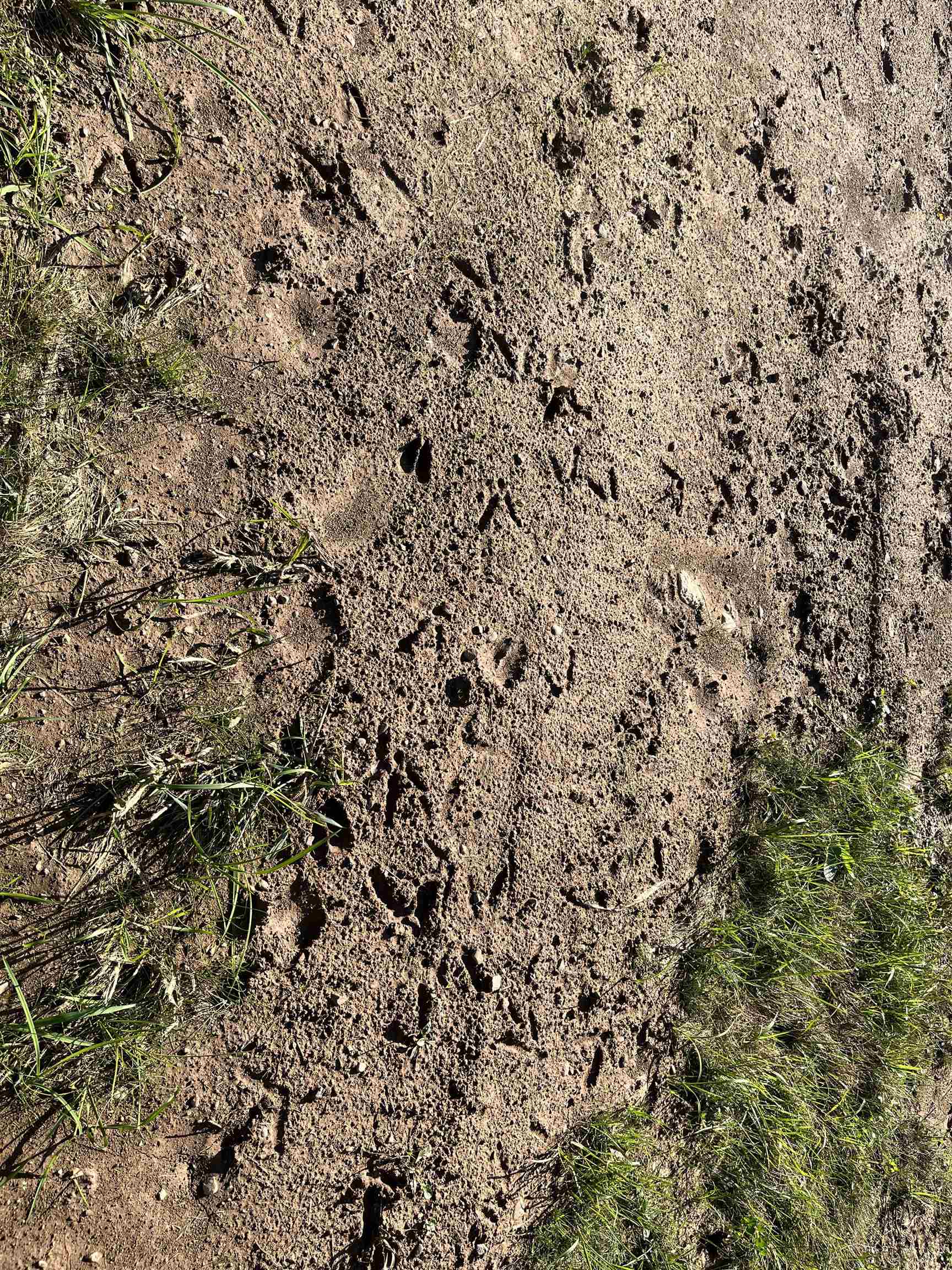 W5817 W OLD 8 ROAD W, Prentice, Wisconsin 54556, 1 Bedroom Bedrooms, ,2 BathroomsBathrooms,Residential,For Sale,W5817 W OLD 8 ROAD W,22500988