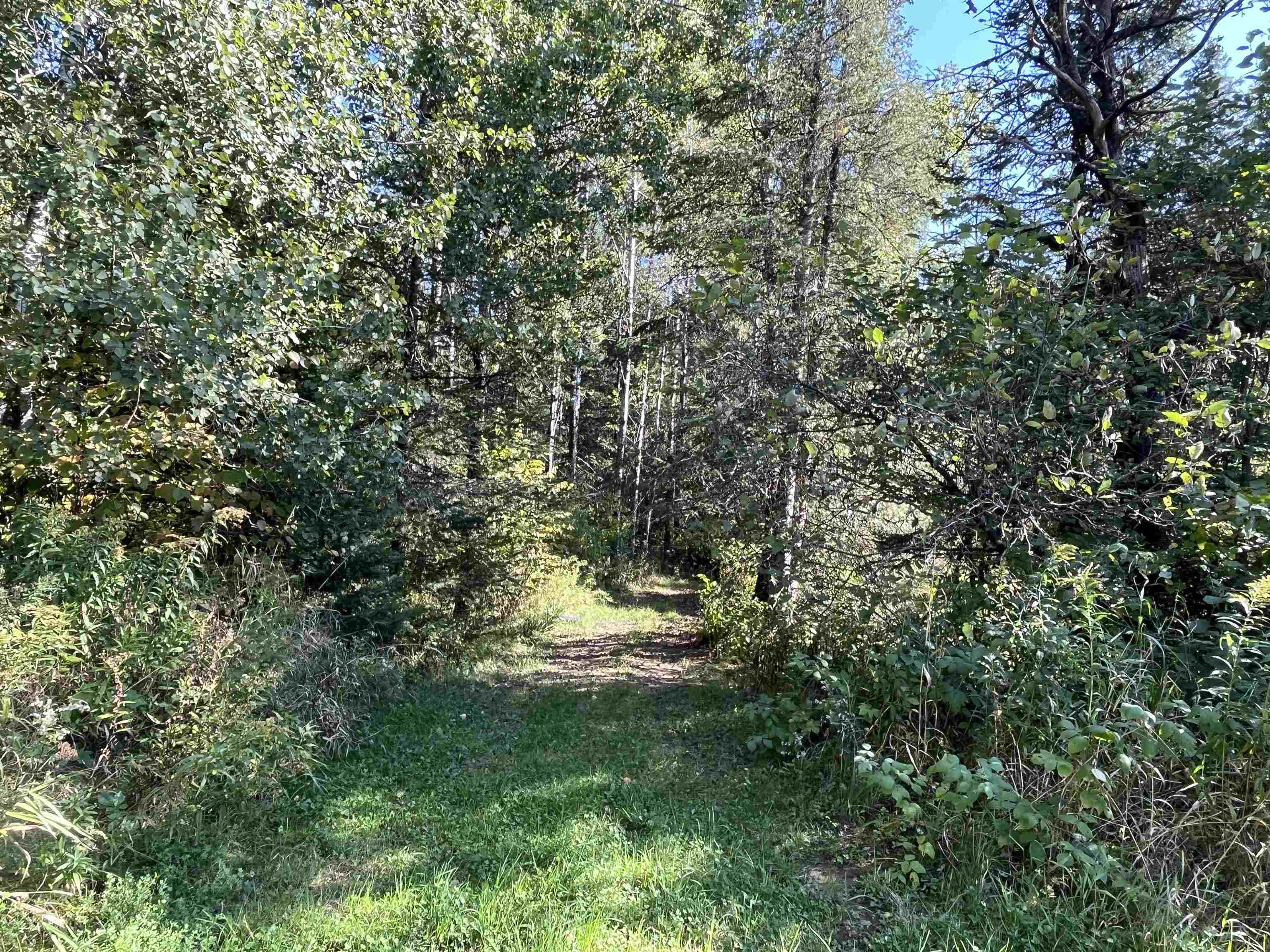 W5817 W OLD 8 ROAD W, Prentice, Wisconsin 54556, 1 Bedroom Bedrooms, ,2 BathroomsBathrooms,Residential,For Sale,W5817 W OLD 8 ROAD W,22500988