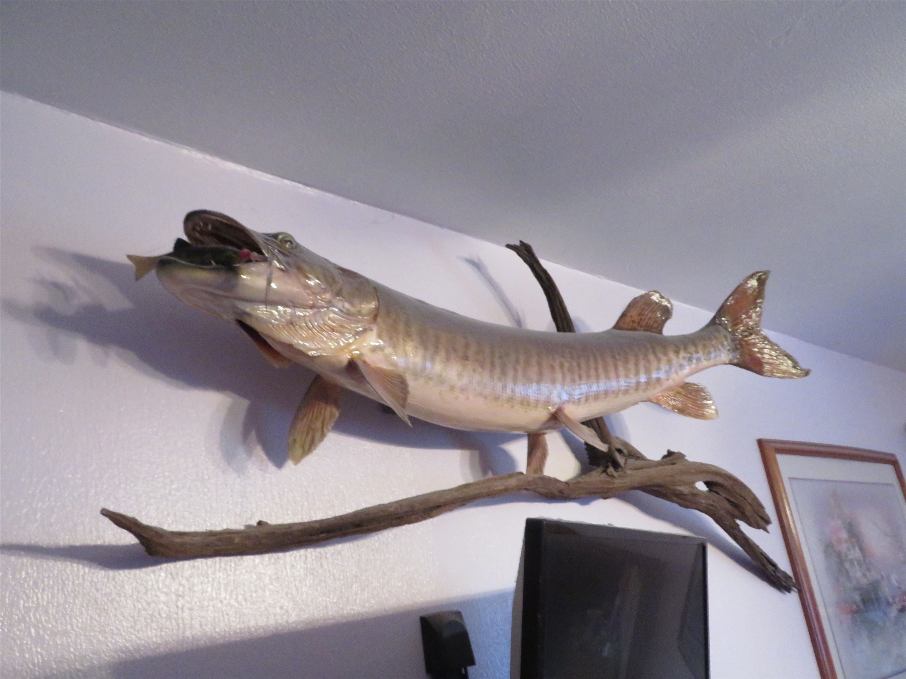 N4443 Crappie Road, Medford, Wisconsin 54451, 4 Bedrooms Bedrooms, ,2 BathroomsBathrooms,Residential,For Sale,N4443 Crappie Road,22501091