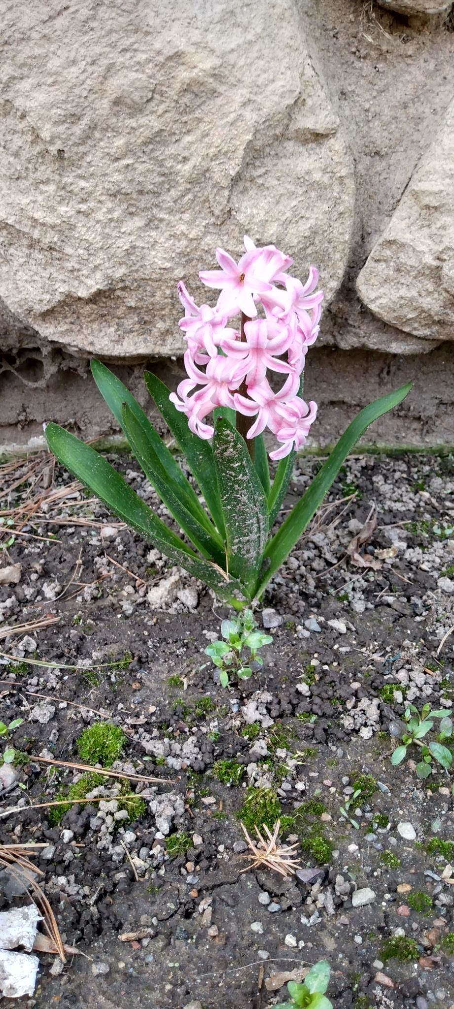 N4443 Crappie Road, Medford, Wisconsin 54451, 4 Bedrooms Bedrooms, ,2 BathroomsBathrooms,Residential,For Sale,N4443 Crappie Road,22501091