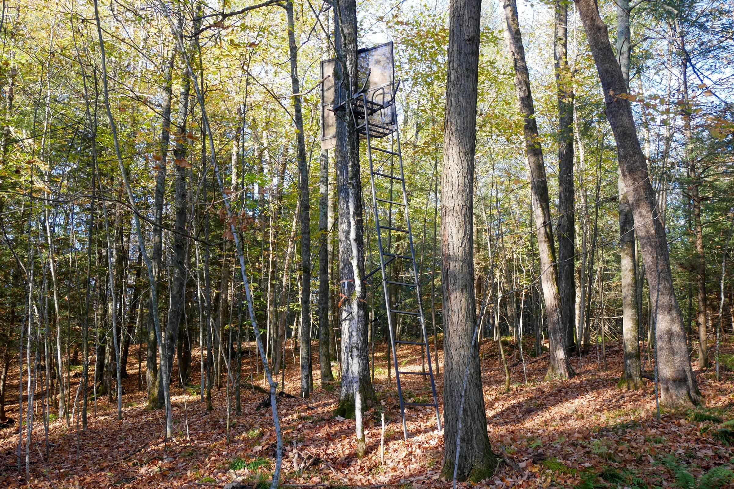 N5317 COUNTY ROAD E, Medford, Wisconsin 54451, ,Land,For Sale,N5317 COUNTY ROAD E,22501141