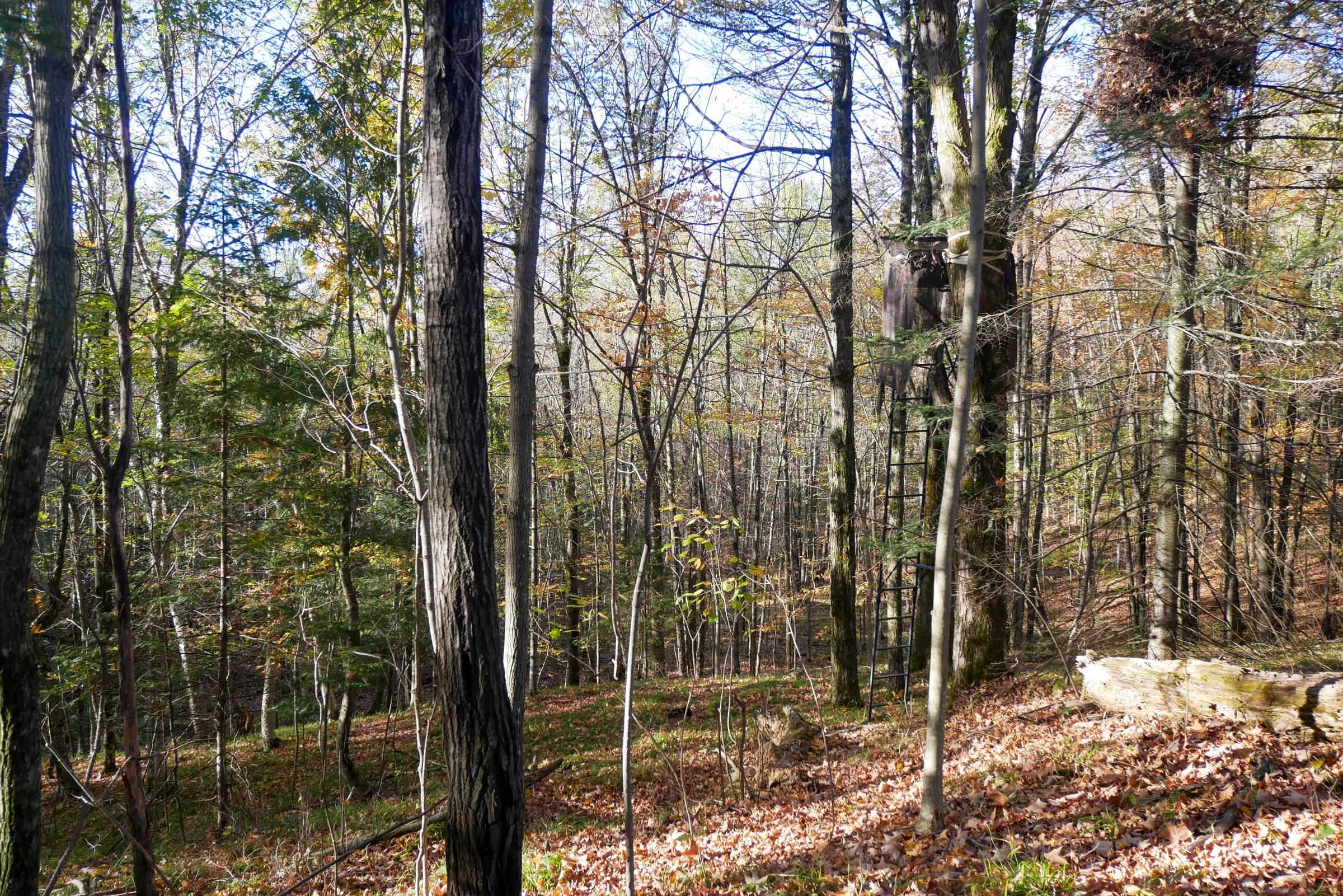 N5317 COUNTY ROAD E, Medford, Wisconsin 54451, ,Land,For Sale,N5317 COUNTY ROAD E,22501141