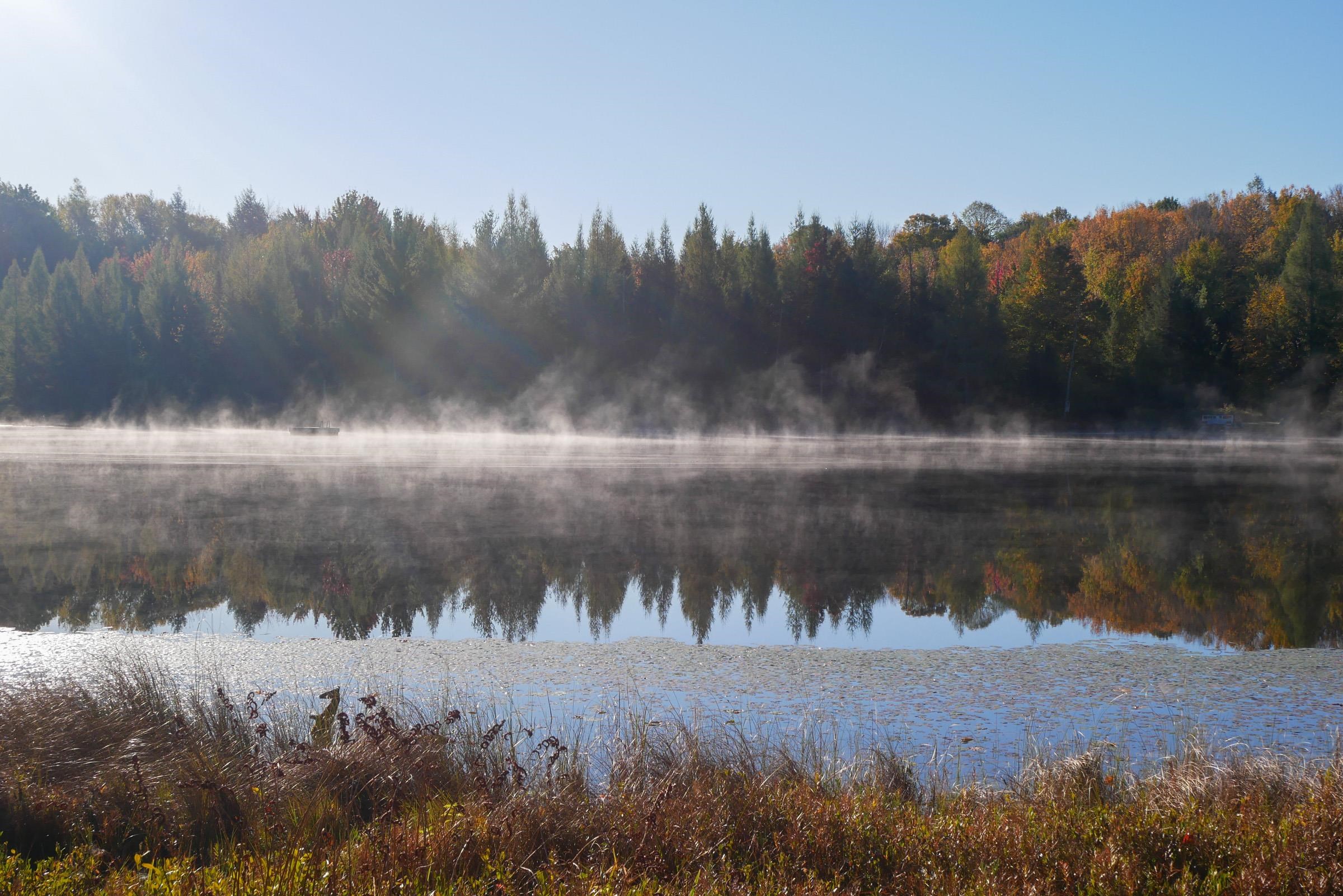 N5317 COUNTY ROAD E, Medford, Wisconsin 54451, ,Land,For Sale,N5317 COUNTY ROAD E,22501141