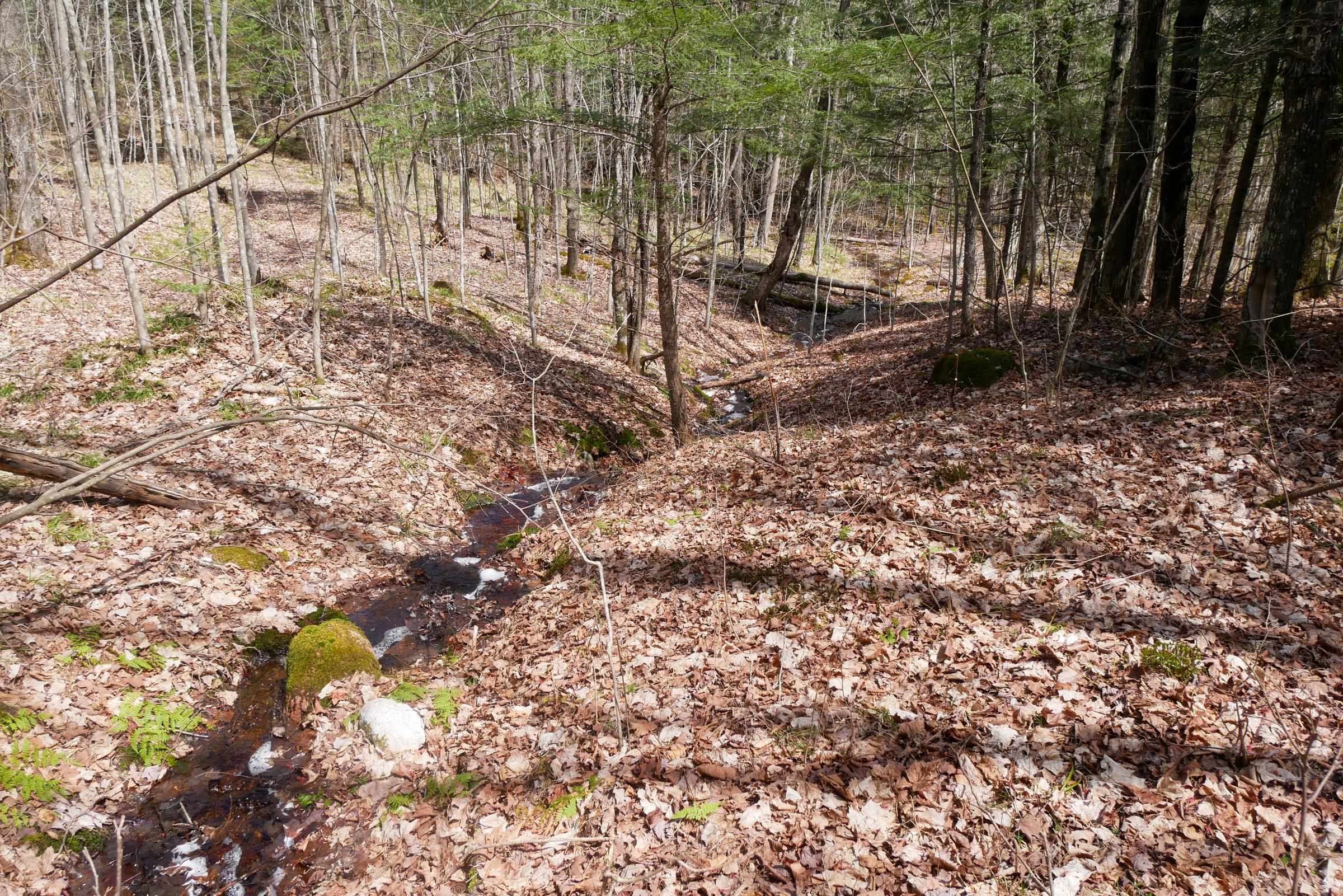 N5317 COUNTY ROAD E, Medford, Wisconsin 54451, ,Land,For Sale,N5317 COUNTY ROAD E,22501141