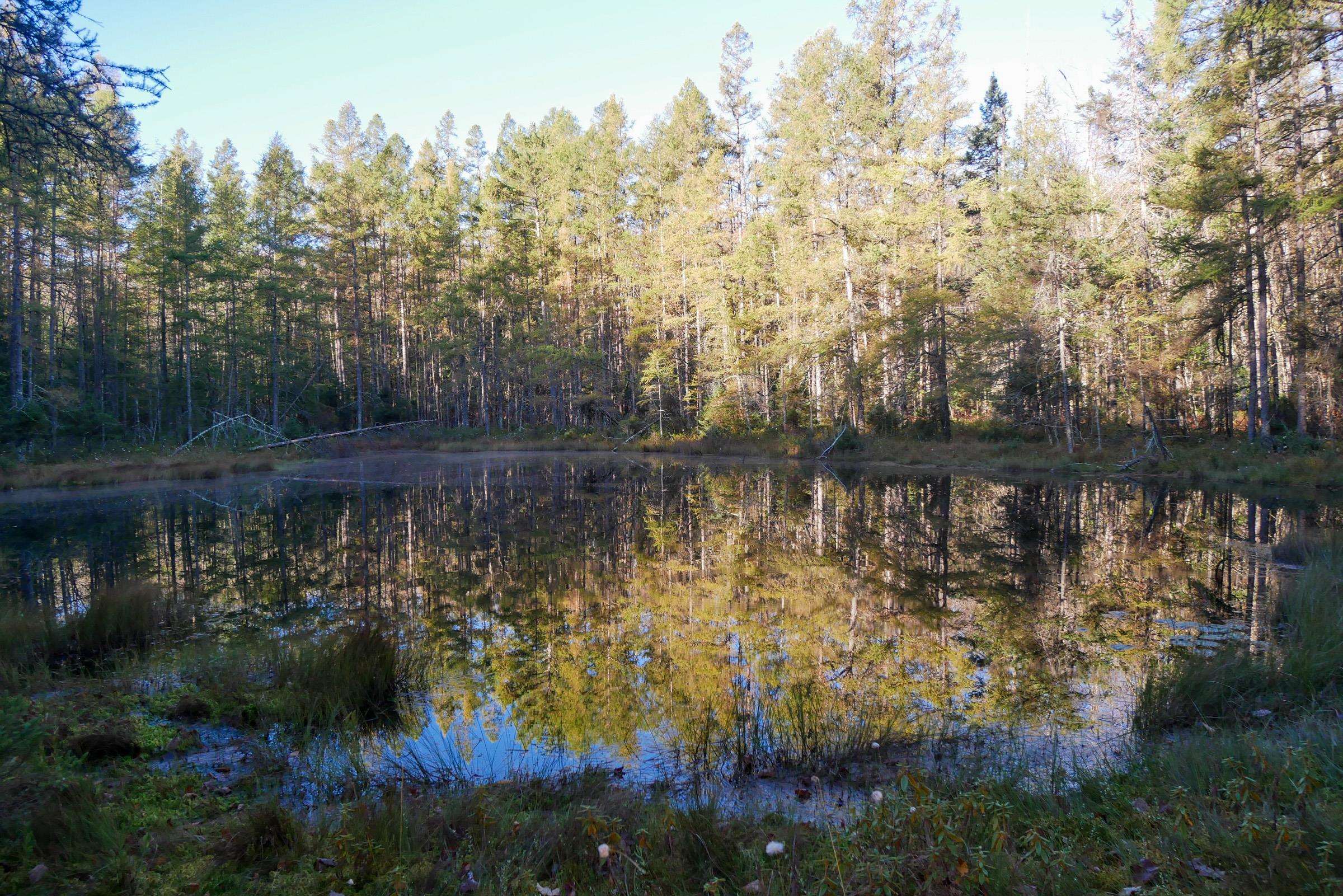 N5317 COUNTY ROAD E, Medford, Wisconsin 54451, ,Land,For Sale,N5317 COUNTY ROAD E,22501141