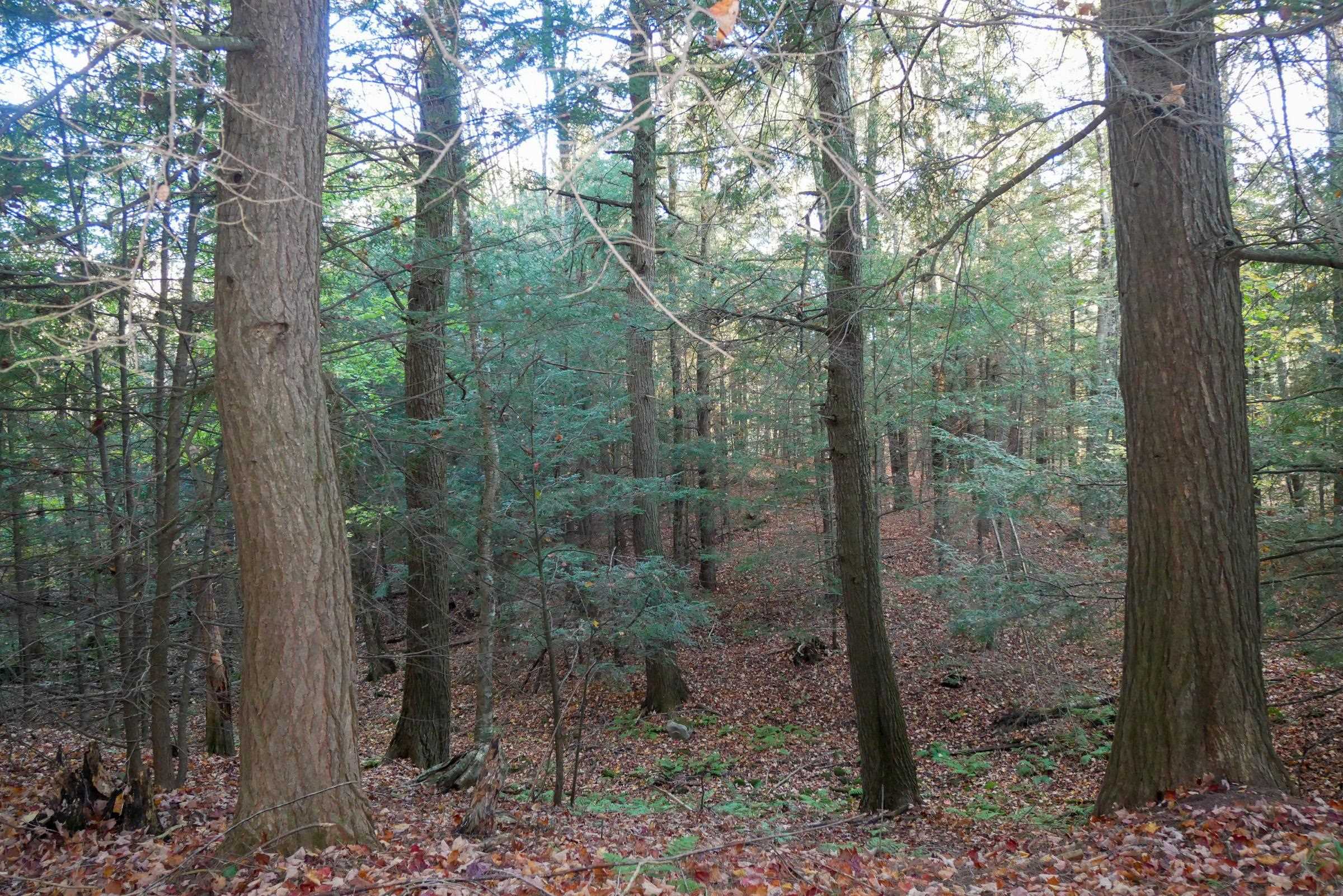 N5317 COUNTY ROAD E, Medford, Wisconsin 54451, ,Land,For Sale,N5317 COUNTY ROAD E,22501141