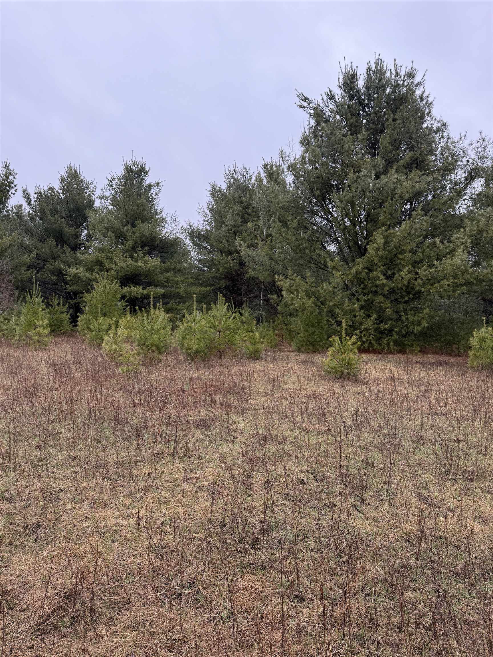 Lot 3 N 5TH AVENUE, Merrill, Wisconsin 54452, ,Land,For Sale,Lot 3 N 5TH AVENUE,22501586