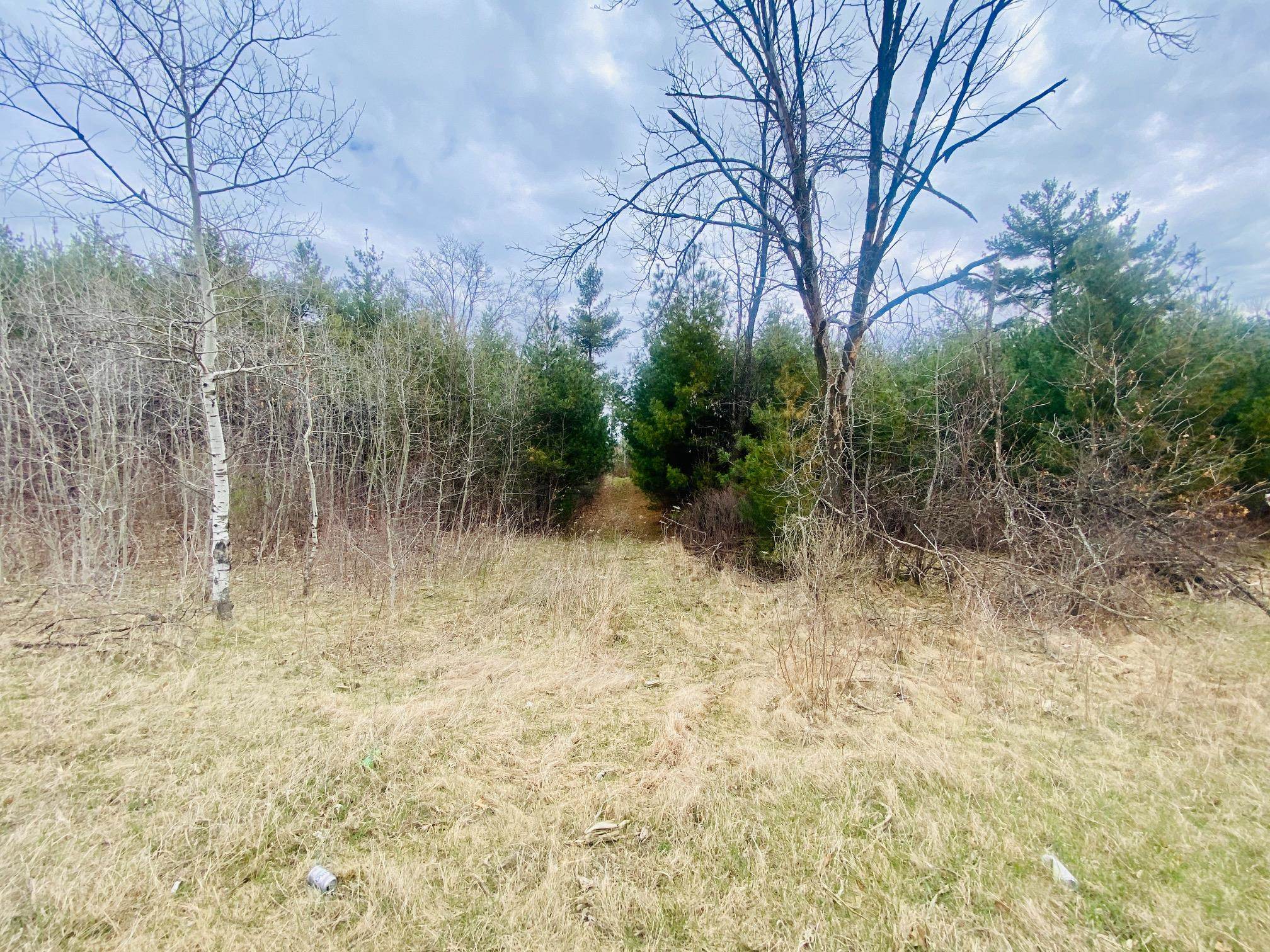 42.53A COUNTY ROAD Q, Amherst Junction, Wisconsin 54407, ,Land,For Sale,42.53A COUNTY ROAD Q,22501700