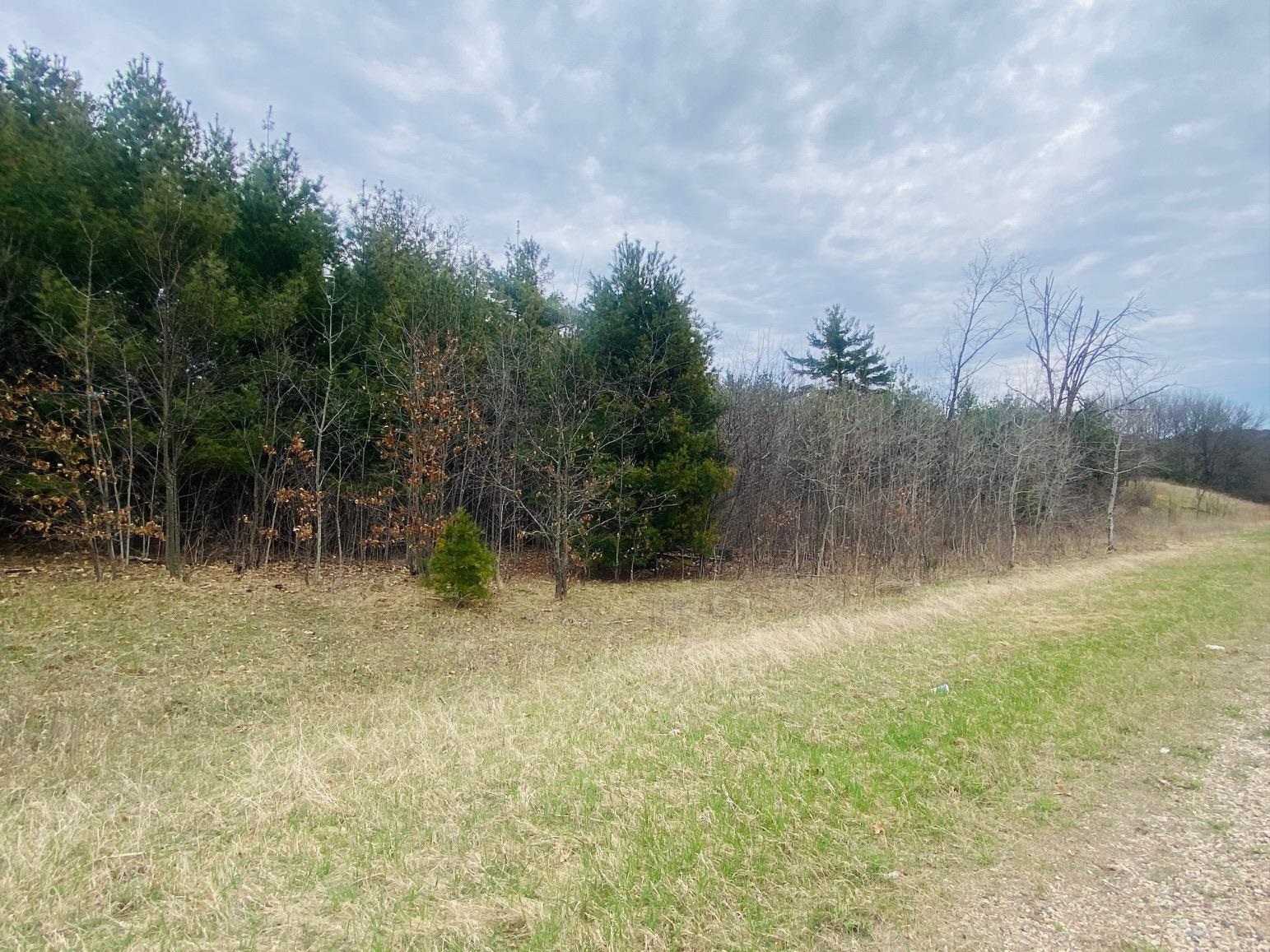 42.53A COUNTY ROAD Q, Amherst Junction, Wisconsin 54407, ,Land,For Sale,42.53A COUNTY ROAD Q,22501700
