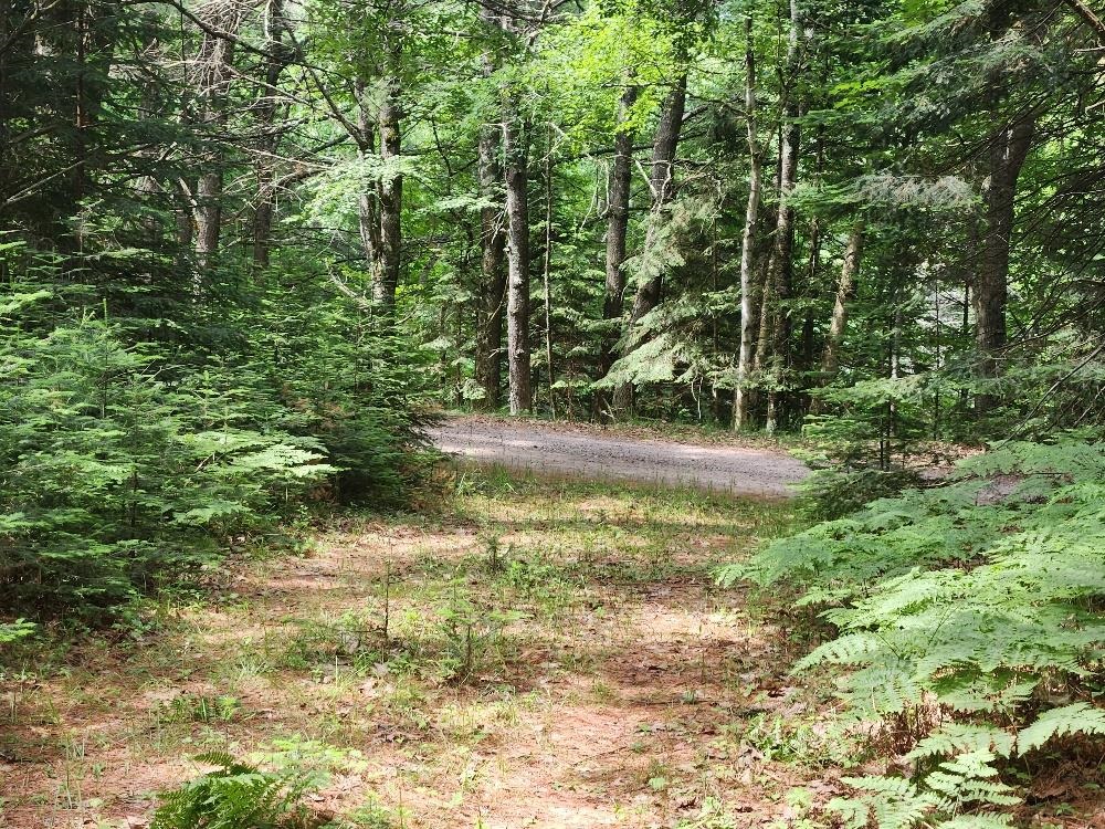 5912 W TWIN LAKE ROAD, Hazelhurst, Wisconsin 54531, ,Land,For Sale,5912 W TWIN LAKE ROAD,22501785