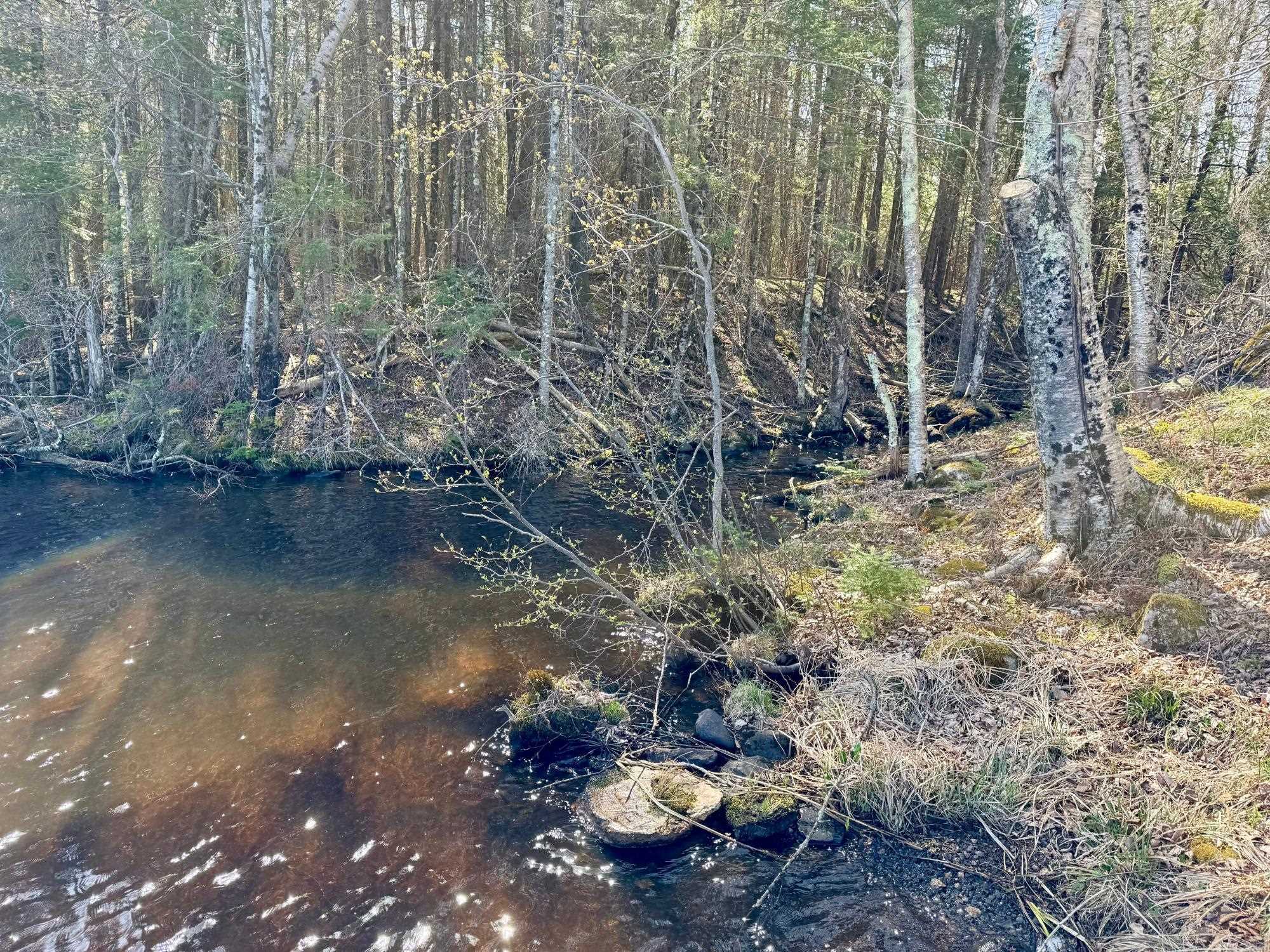 W8386 MAPLE LANE, Park Falls, Wisconsin 54552, 2 Bedrooms Bedrooms, ,1 BathroomBathrooms,Residential,For Sale,W8386 MAPLE LANE,22501880