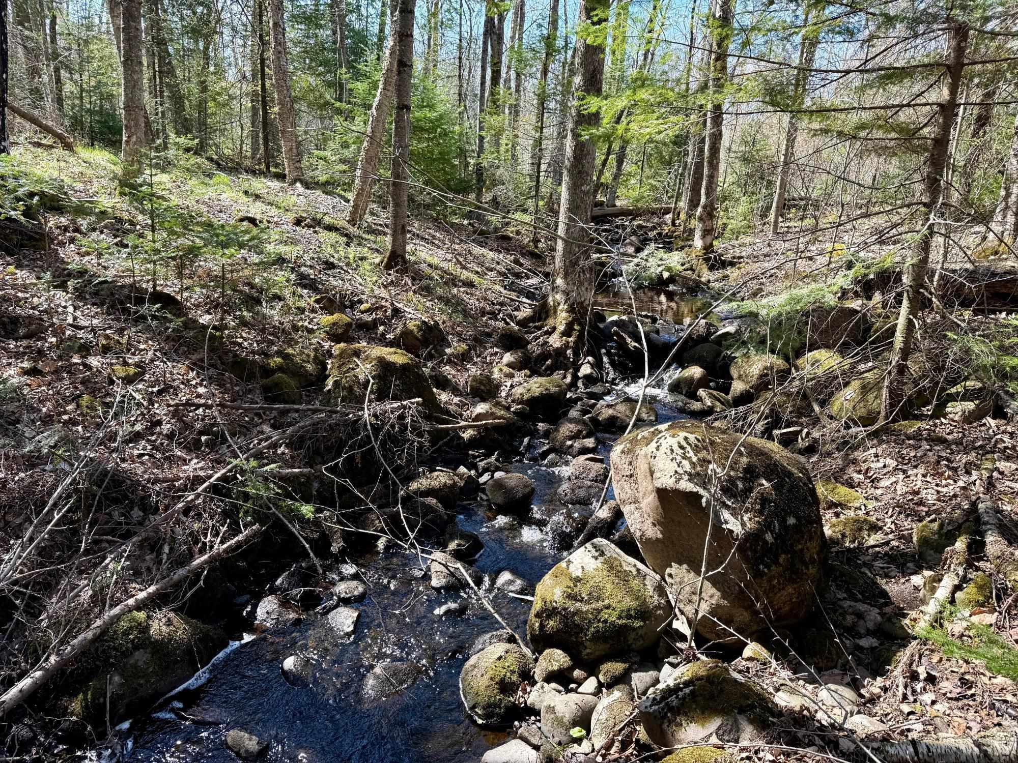 W8386 MAPLE LANE, Park Falls, Wisconsin 54552, 2 Bedrooms Bedrooms, ,1 BathroomBathrooms,Residential,For Sale,W8386 MAPLE LANE,22501880