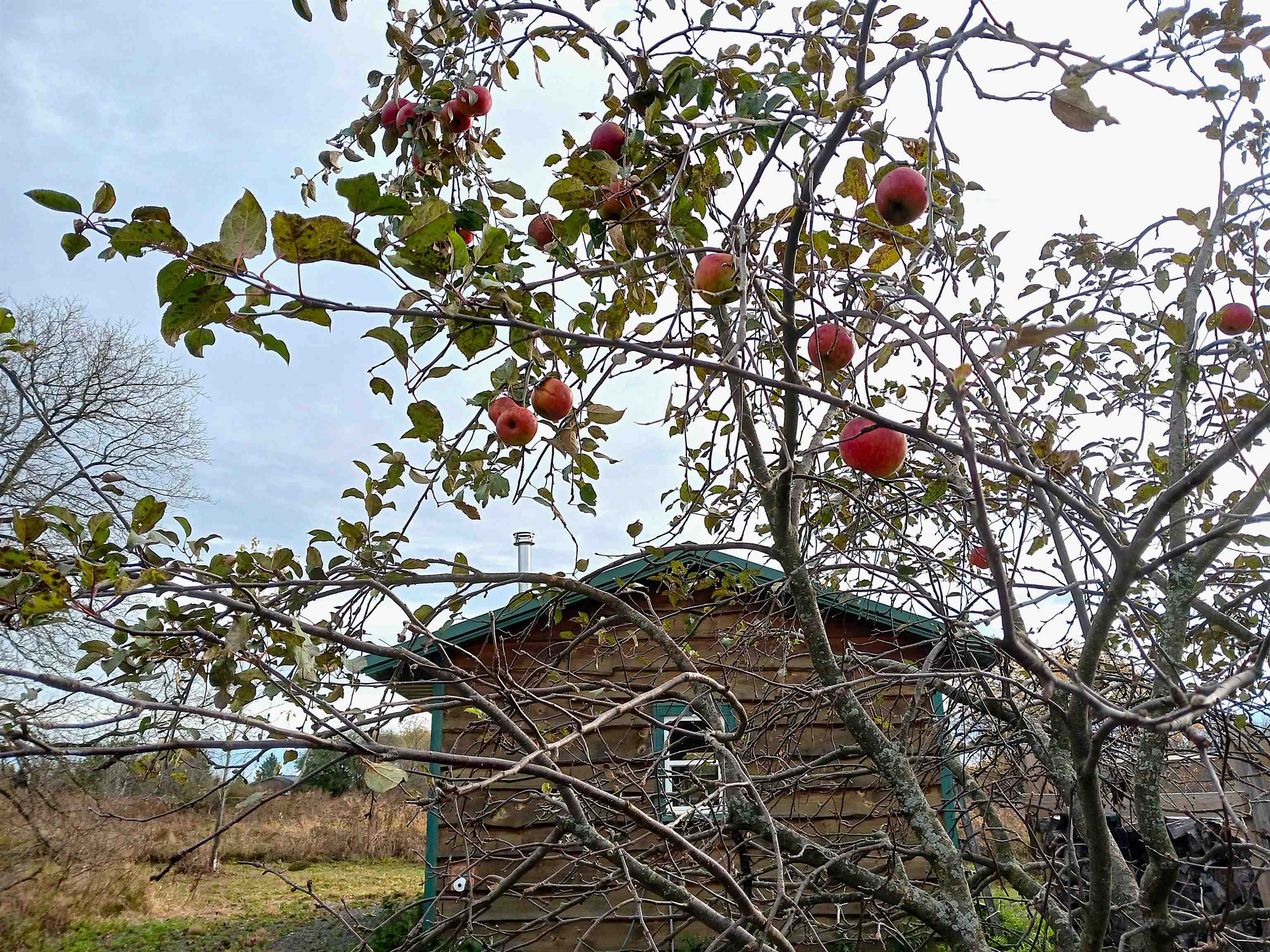 6163 MILL ROAD, Arpin, Wisconsin 54410, 2 Bedrooms Bedrooms, ,Residential,For Sale,6163 MILL ROAD,22501885