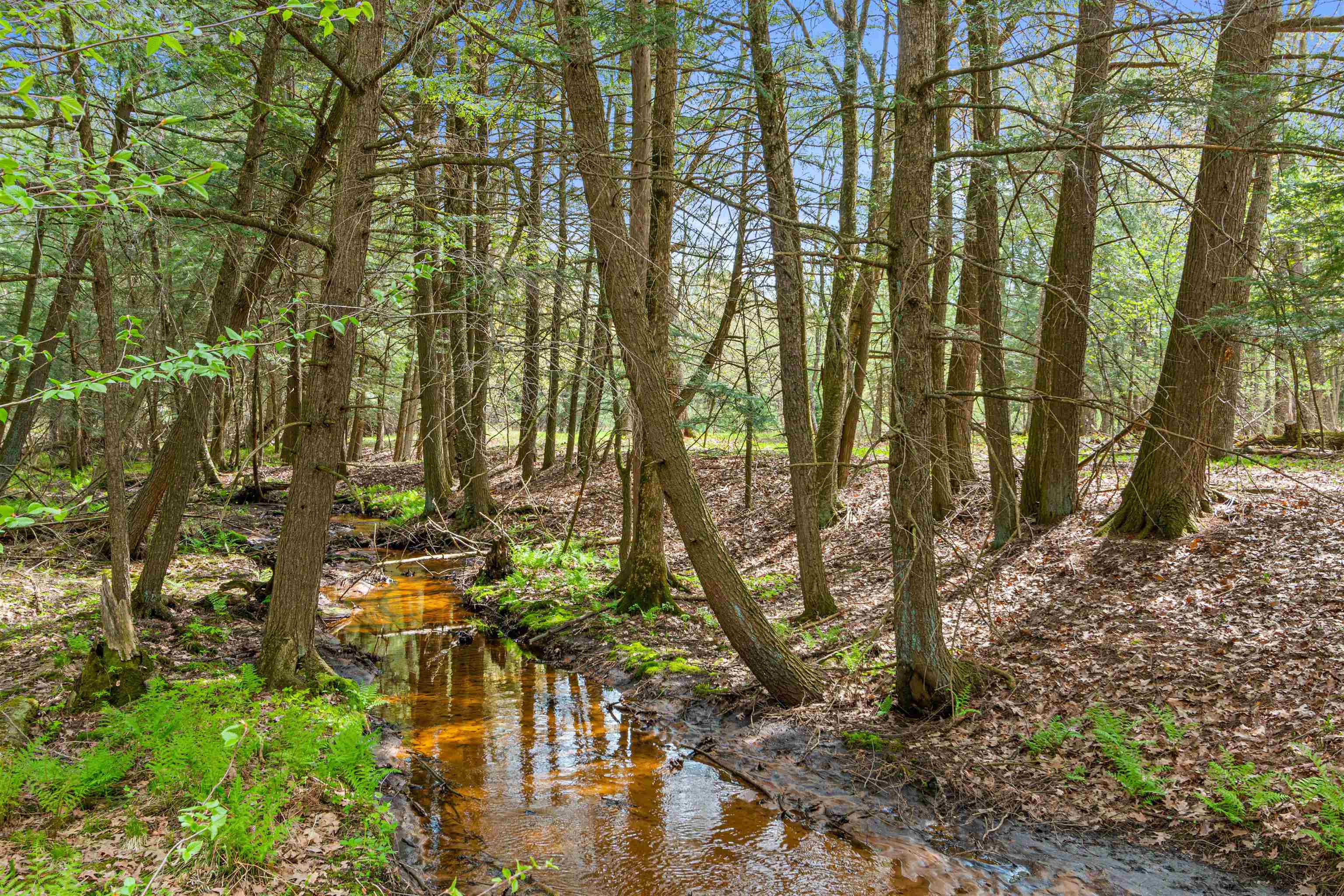 6056 SHARONWOOD LANE, Stevens Point, Wisconsin 54482, 4 Bedrooms Bedrooms, ,3 BathroomsBathrooms,Residential,For Sale,6056 SHARONWOOD LANE,22501948