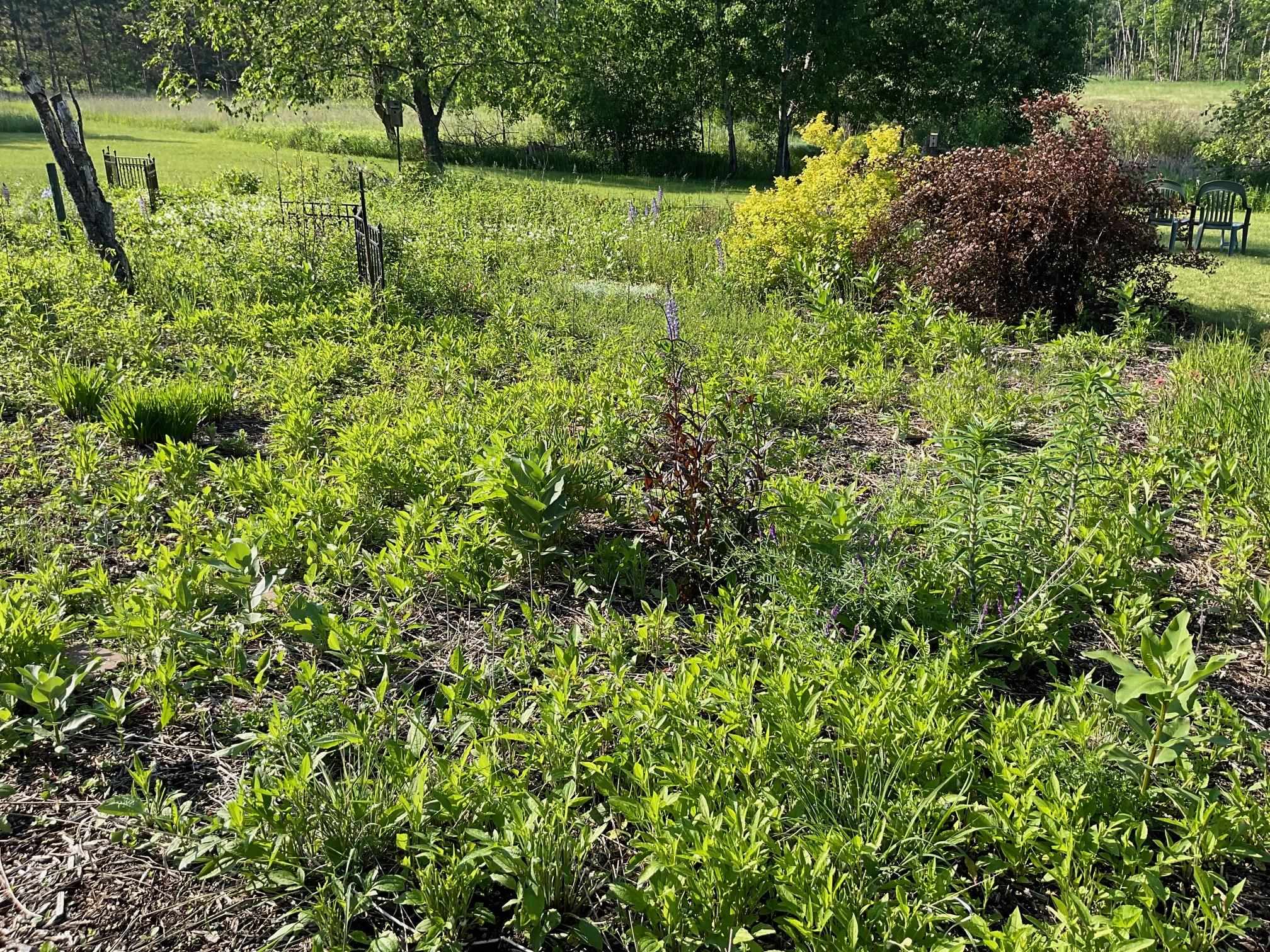 169003 SHOREWOOD DRIVE, Rosholt, Wisconsin 54473, 4 Bedrooms Bedrooms, ,2 BathroomsBathrooms,Residential,For Sale,169003 SHOREWOOD DRIVE,22501961