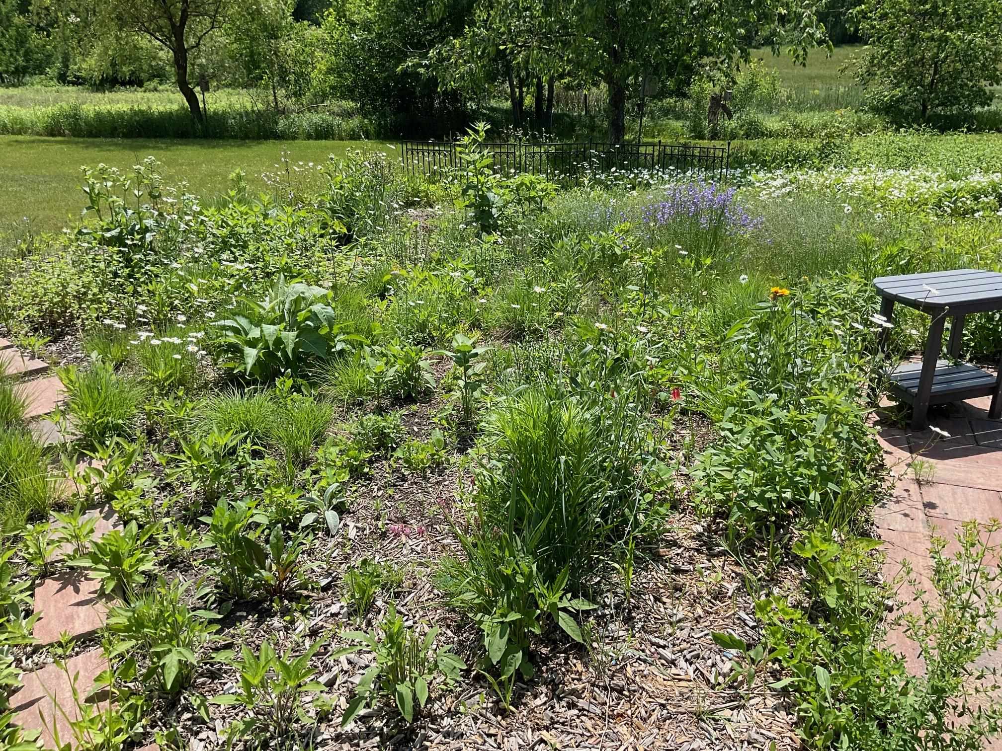 169003 SHOREWOOD DRIVE, Rosholt, Wisconsin 54473, 4 Bedrooms Bedrooms, ,2 BathroomsBathrooms,Residential,For Sale,169003 SHOREWOOD DRIVE,22501961