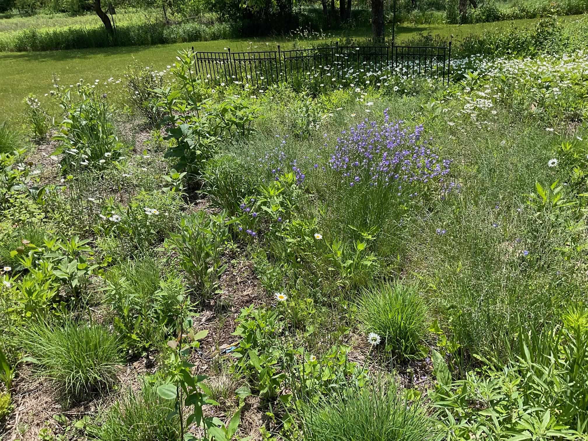 169003 SHOREWOOD DRIVE, Rosholt, Wisconsin 54473, 4 Bedrooms Bedrooms, ,2 BathroomsBathrooms,Residential,For Sale,169003 SHOREWOOD DRIVE,22501961