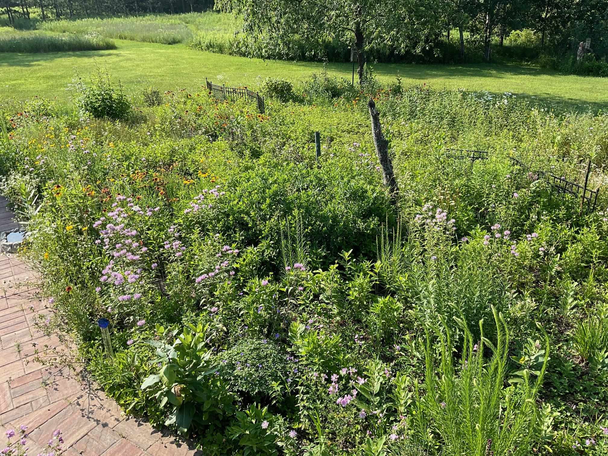 169003 SHOREWOOD DRIVE, Rosholt, Wisconsin 54473, 4 Bedrooms Bedrooms, ,2 BathroomsBathrooms,Residential,For Sale,169003 SHOREWOOD DRIVE,22501961