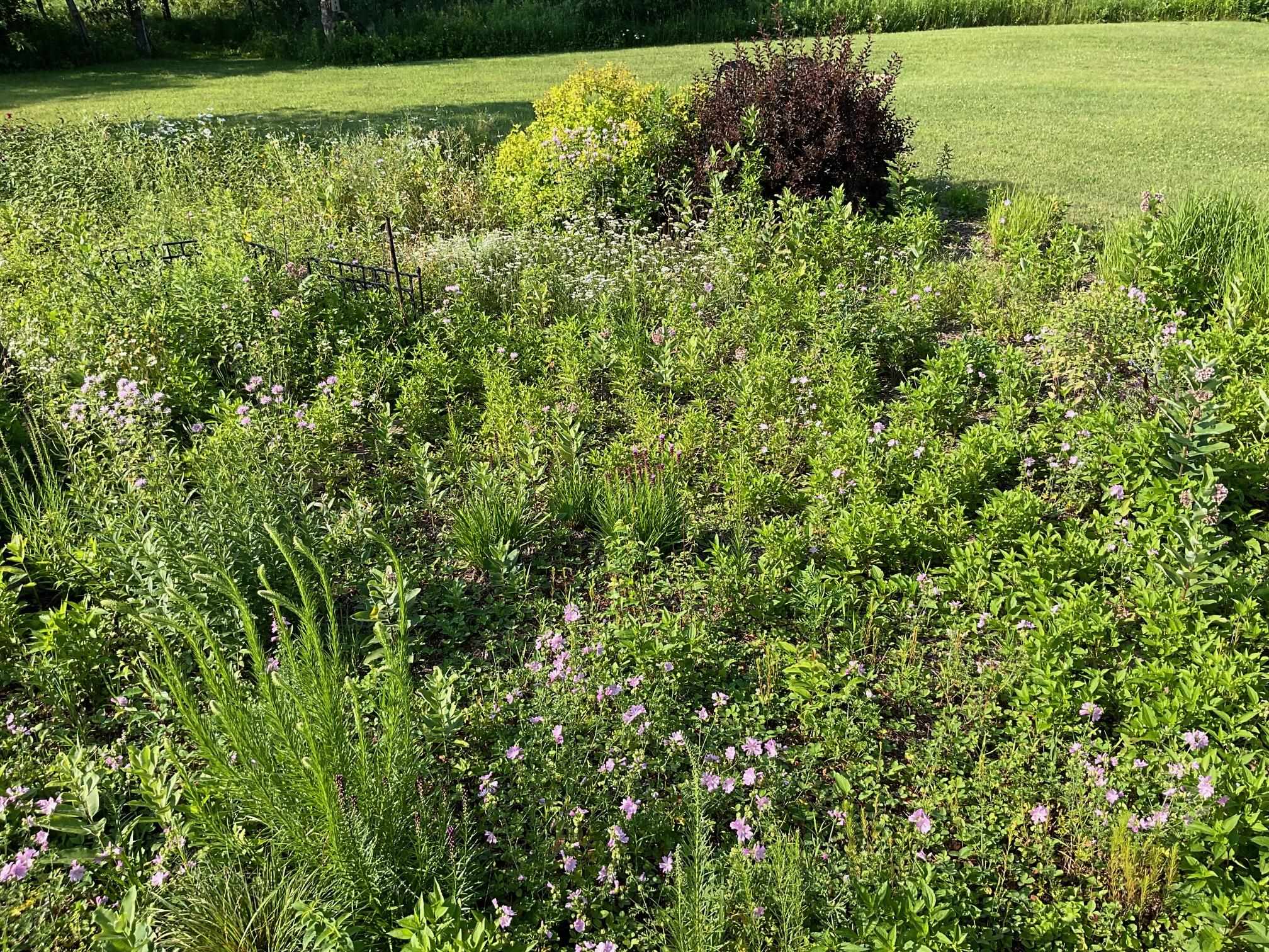 169003 SHOREWOOD DRIVE, Rosholt, Wisconsin 54473, 4 Bedrooms Bedrooms, ,2 BathroomsBathrooms,Residential,For Sale,169003 SHOREWOOD DRIVE,22501961