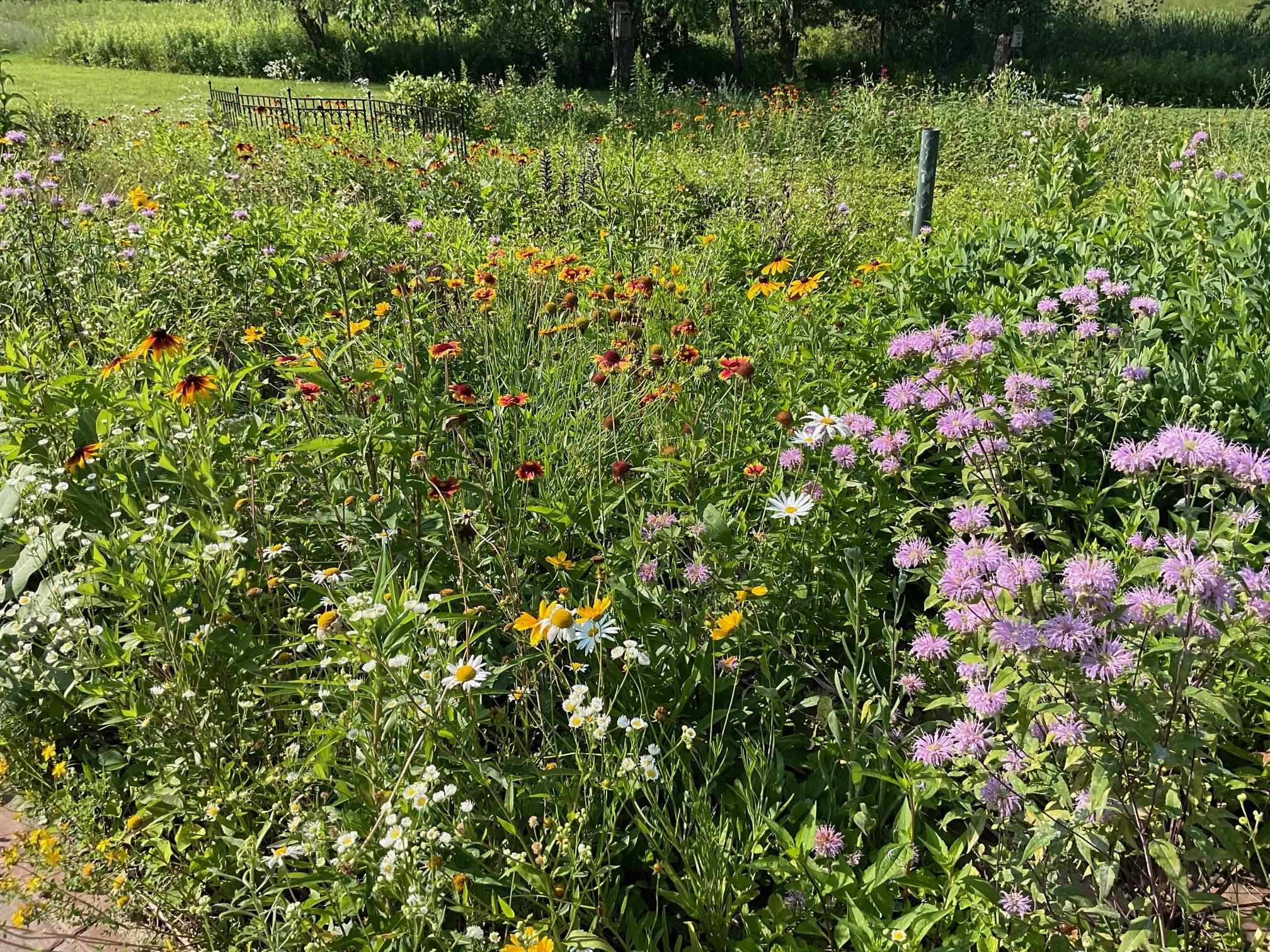 169003 SHOREWOOD DRIVE, Rosholt, Wisconsin 54473, 4 Bedrooms Bedrooms, ,2 BathroomsBathrooms,Residential,For Sale,169003 SHOREWOOD DRIVE,22501961