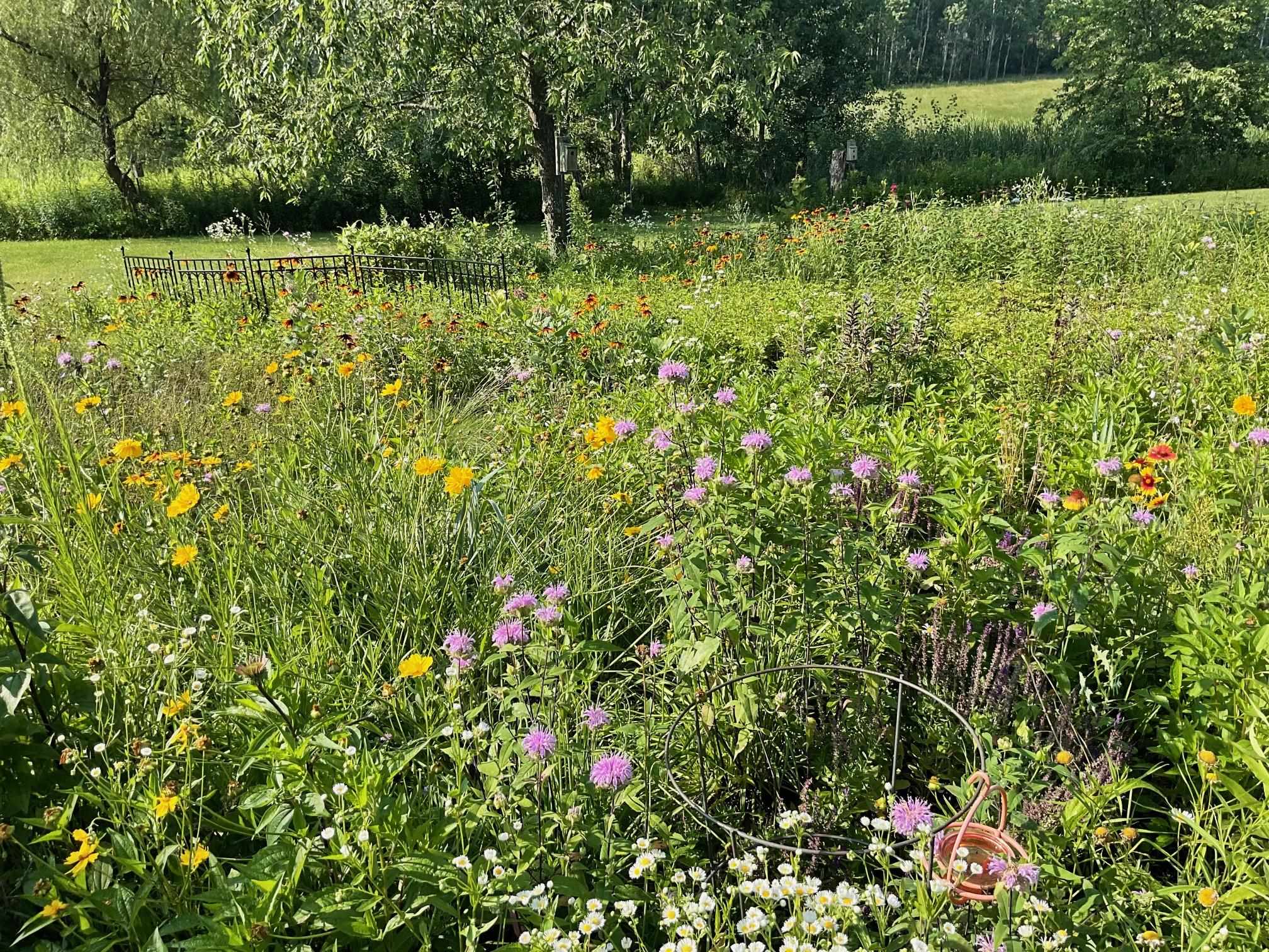 169003 SHOREWOOD DRIVE, Rosholt, Wisconsin 54473, 4 Bedrooms Bedrooms, ,2 BathroomsBathrooms,Residential,For Sale,169003 SHOREWOOD DRIVE,22501961