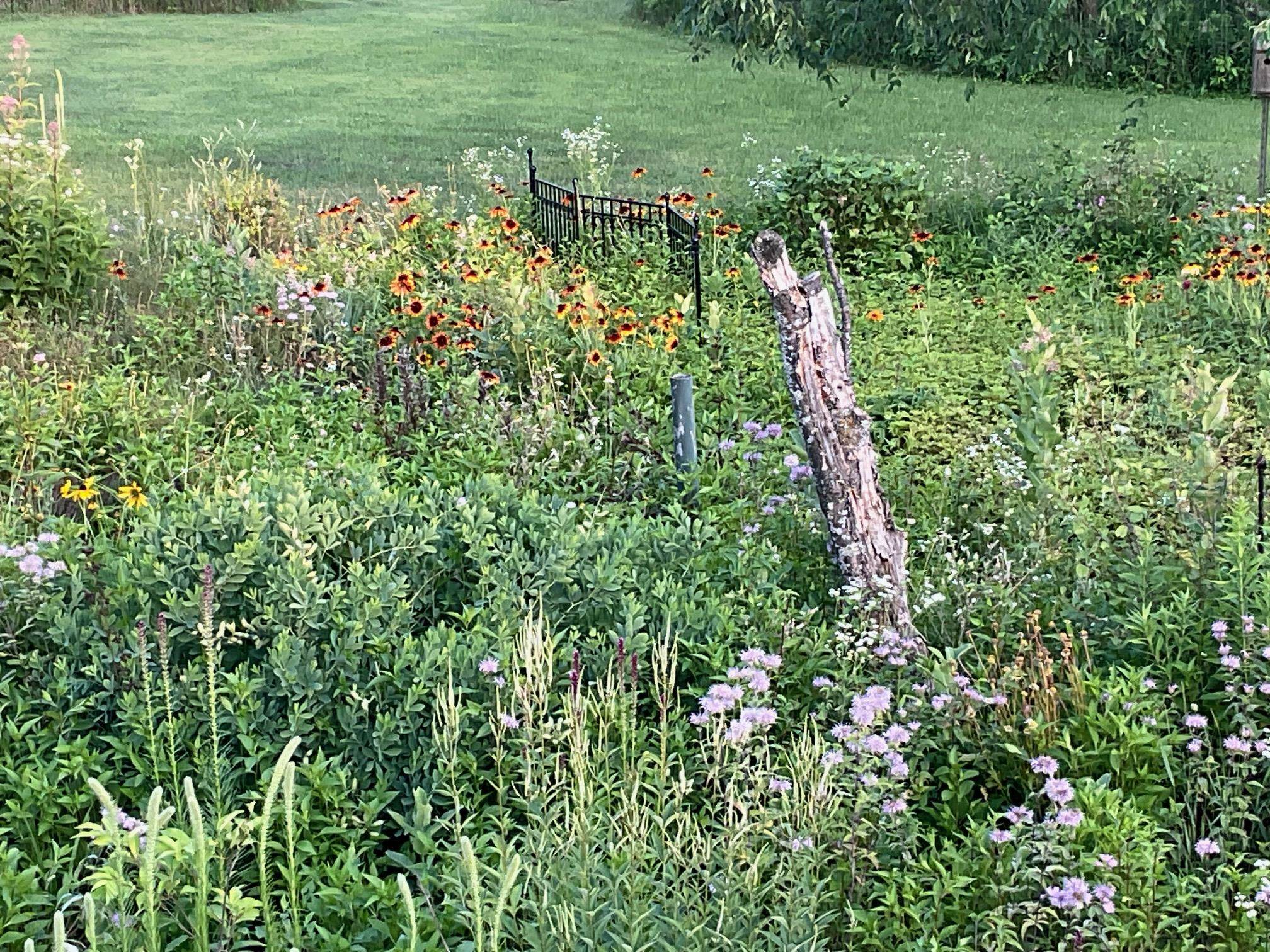 169003 SHOREWOOD DRIVE, Rosholt, Wisconsin 54473, 4 Bedrooms Bedrooms, ,2 BathroomsBathrooms,Residential,For Sale,169003 SHOREWOOD DRIVE,22501961