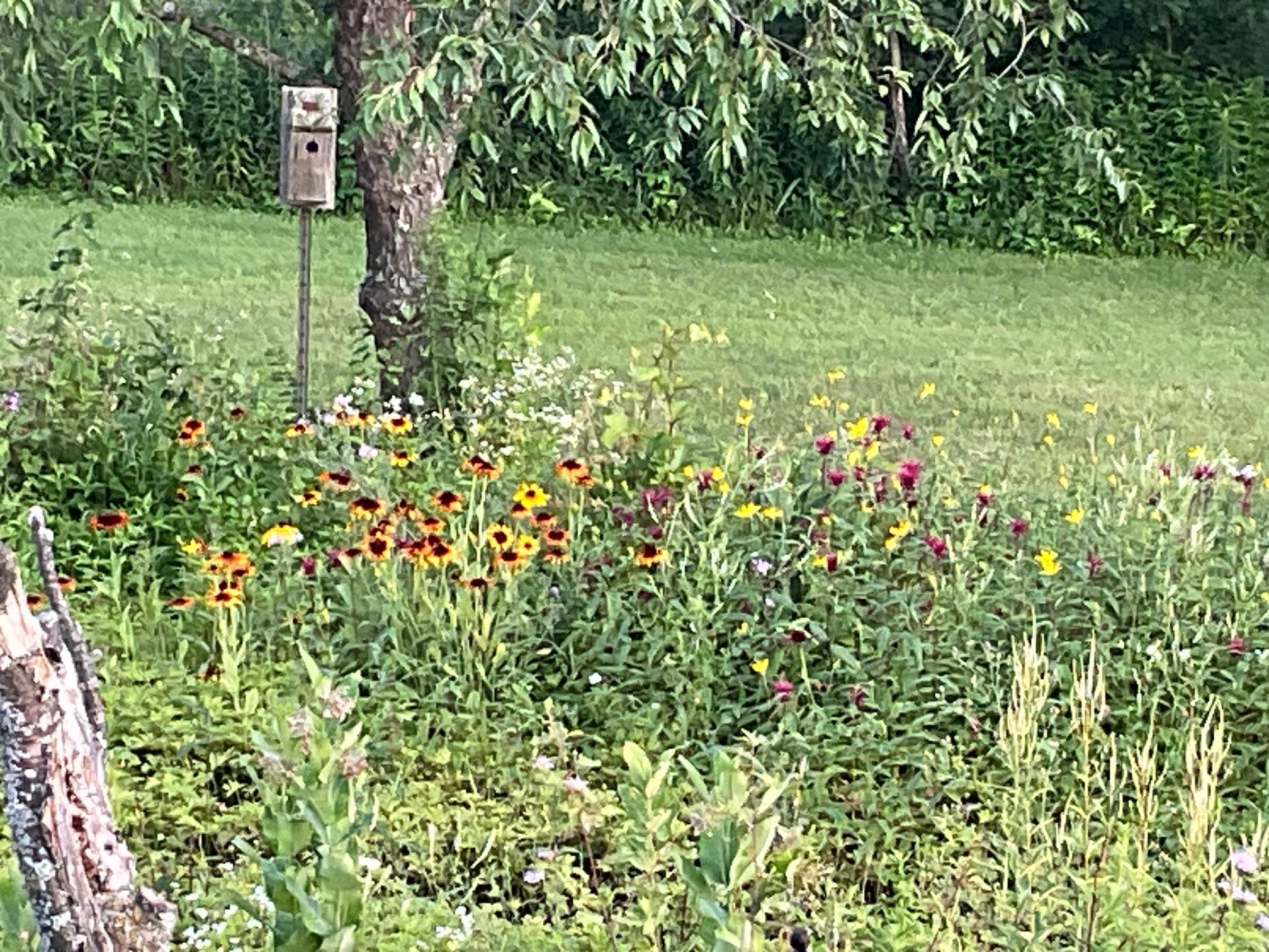 169003 SHOREWOOD DRIVE, Rosholt, Wisconsin 54473, 4 Bedrooms Bedrooms, ,2 BathroomsBathrooms,Residential,For Sale,169003 SHOREWOOD DRIVE,22501961