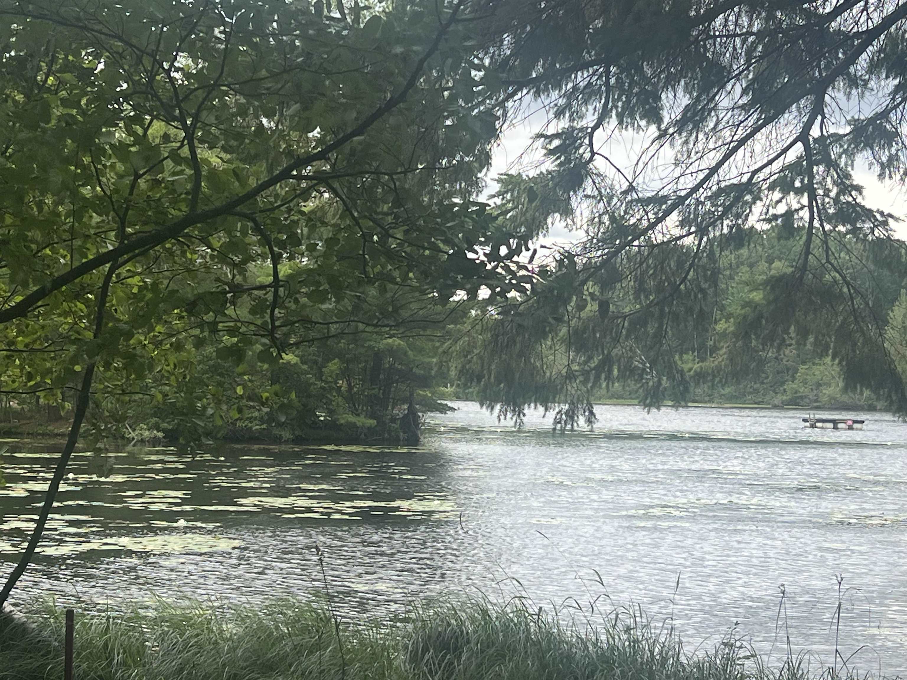 N8981 W ISLAND ROAD, Phillips, Wisconsin 54555, 3 Bedrooms Bedrooms, ,1 BathroomBathrooms,Residential,For Sale,N8981 W ISLAND ROAD,22502641