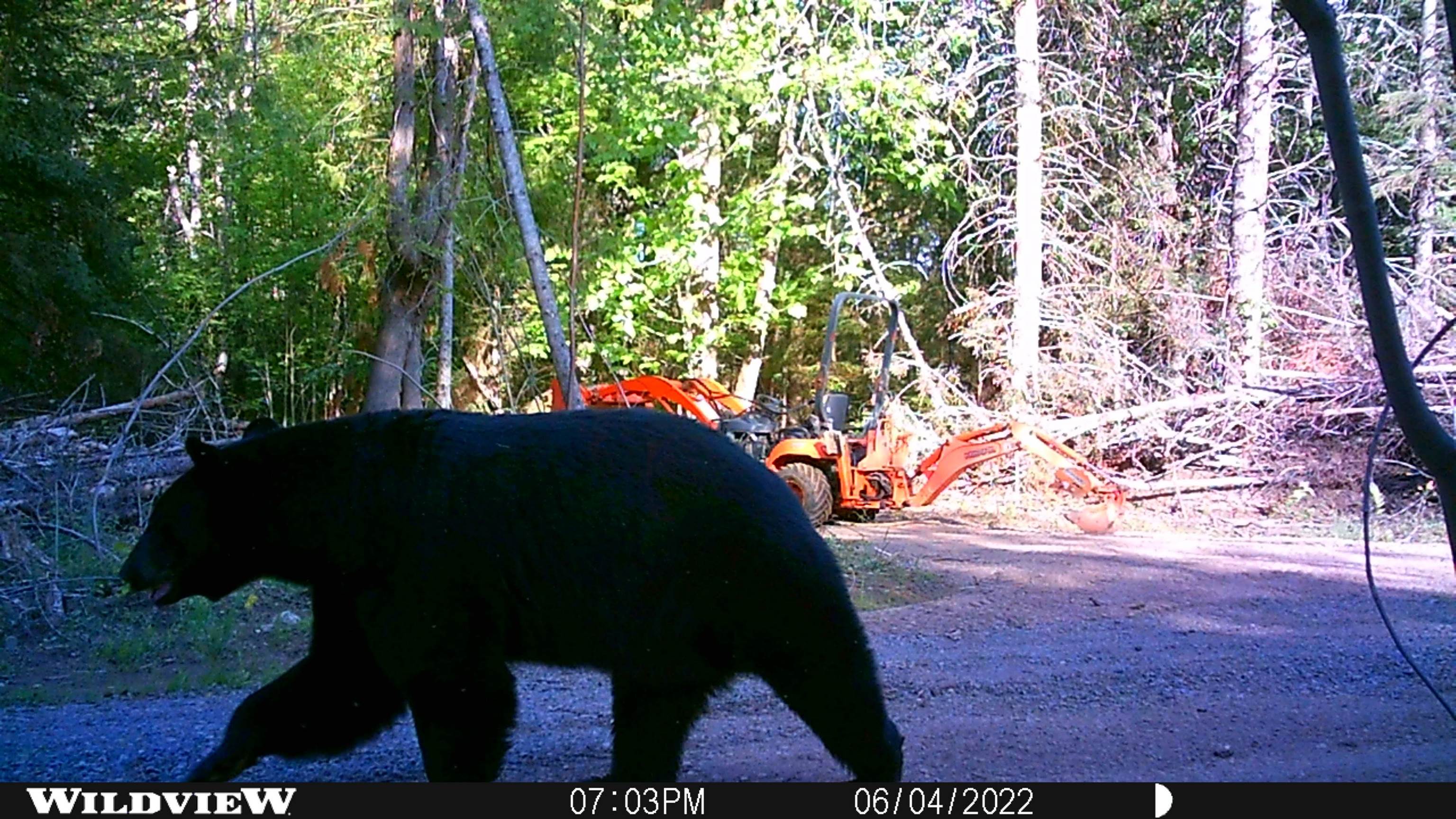 76557 DERINGER ROAD, Glidden, Wisconsin 54527, ,Residential,For Sale,76557 DERINGER ROAD,22502728