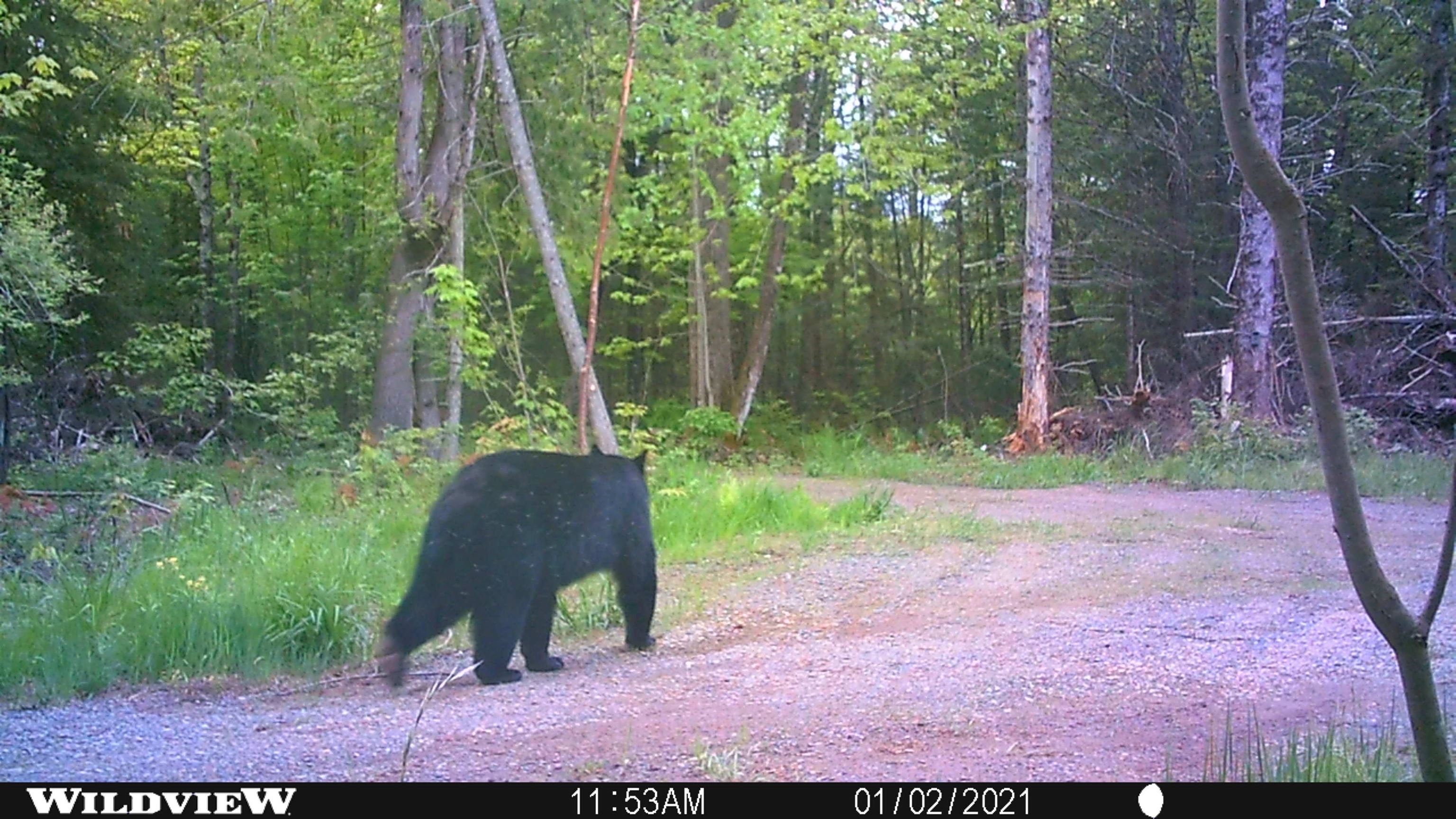 76557 DERINGER ROAD, Glidden, Wisconsin 54527, ,Residential,For Sale,76557 DERINGER ROAD,22502728