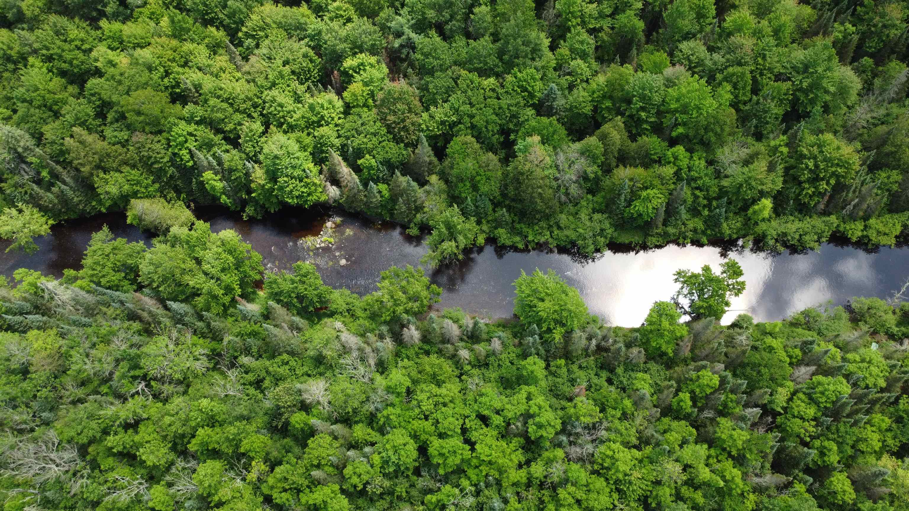 76557 DERINGER ROAD, Glidden, Wisconsin 54527, ,Residential,For Sale,76557 DERINGER ROAD,22502728