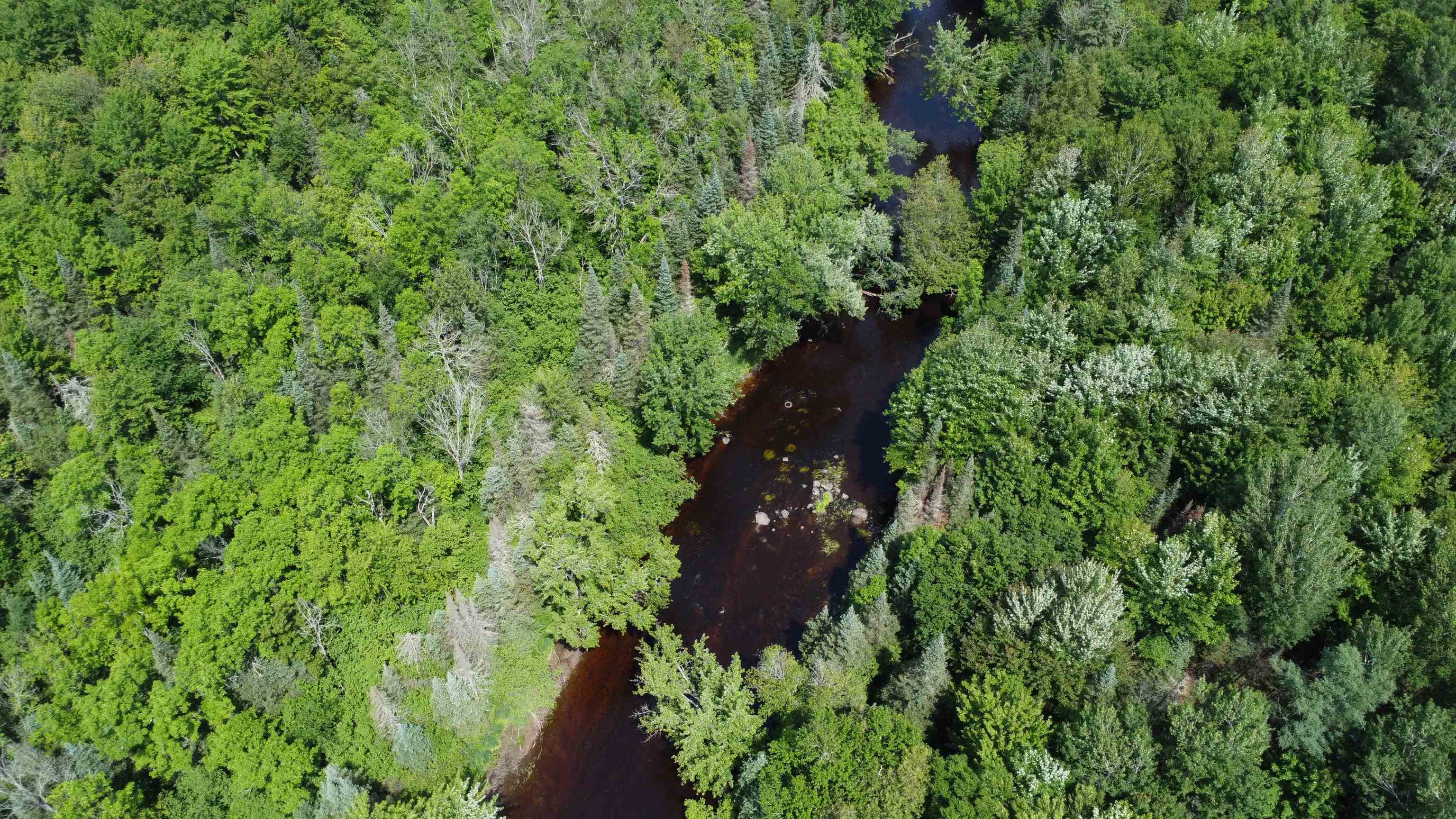 76557 DERINGER ROAD, Glidden, Wisconsin 54527, ,Residential,For Sale,76557 DERINGER ROAD,22502728