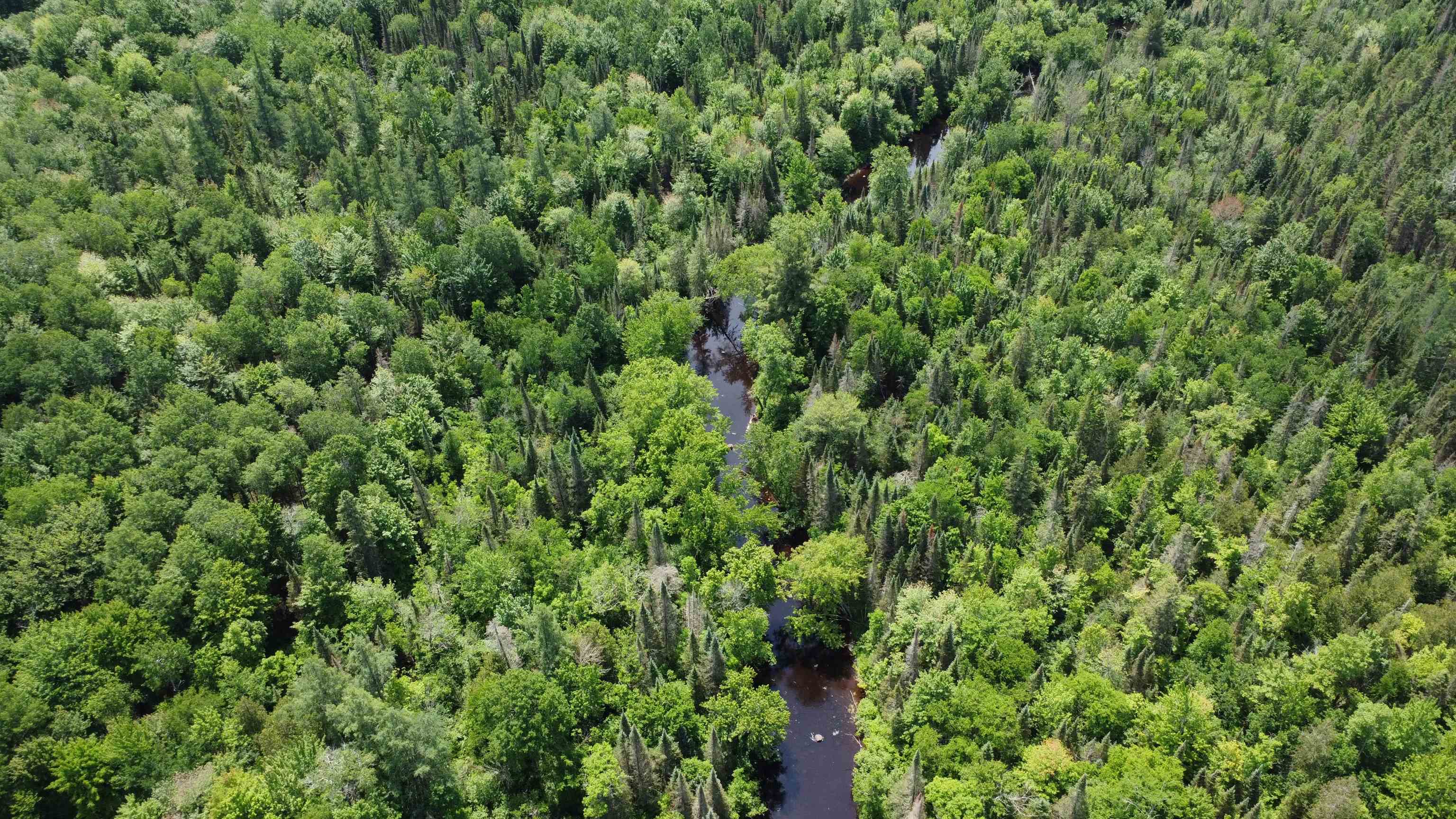 76557 DERINGER ROAD, Glidden, Wisconsin 54527, ,Residential,For Sale,76557 DERINGER ROAD,22502728