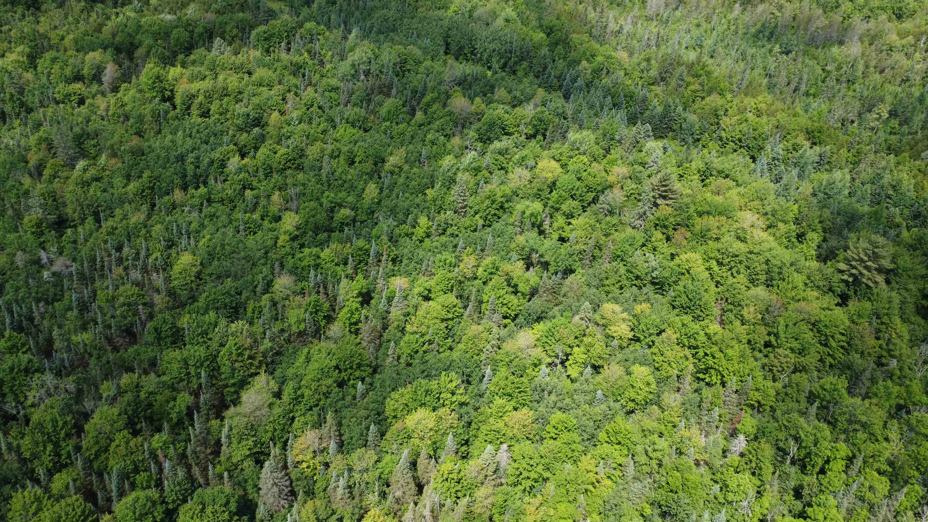 76557 DERINGER ROAD, Glidden, Wisconsin 54527, ,Residential,For Sale,76557 DERINGER ROAD,22502728