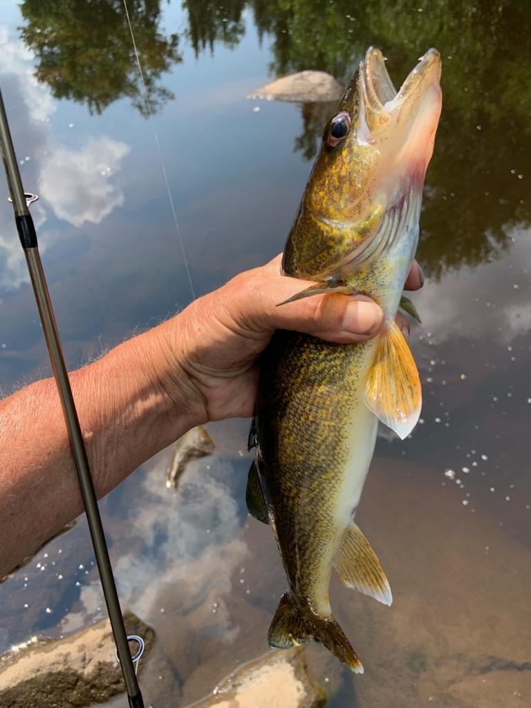 76557 DERINGER ROAD, Glidden, Wisconsin 54527, ,Residential,For Sale,76557 DERINGER ROAD,22502728