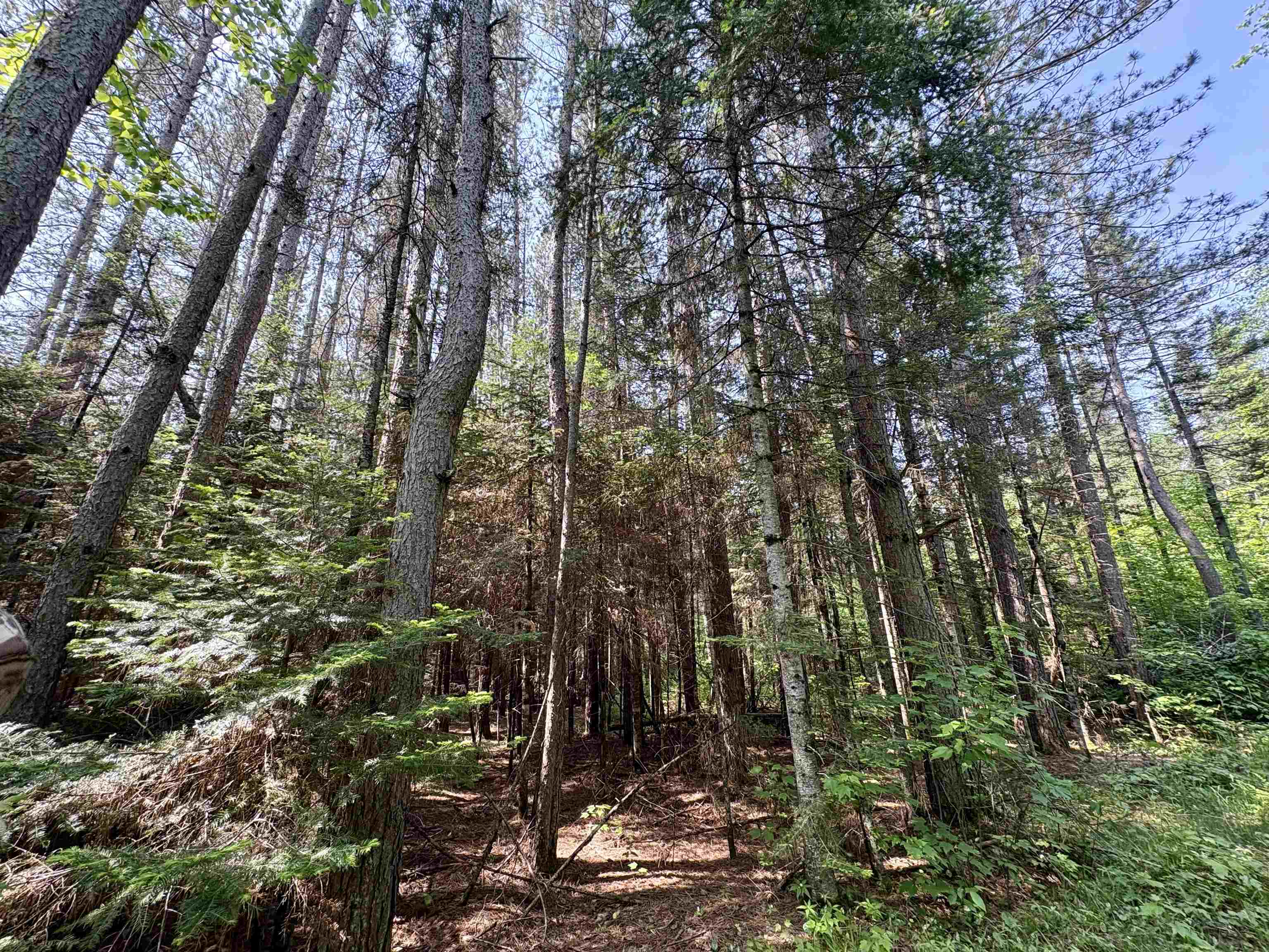 76557 DERINGER ROAD, Glidden, Wisconsin 54527, ,Residential,For Sale,76557 DERINGER ROAD,22502728