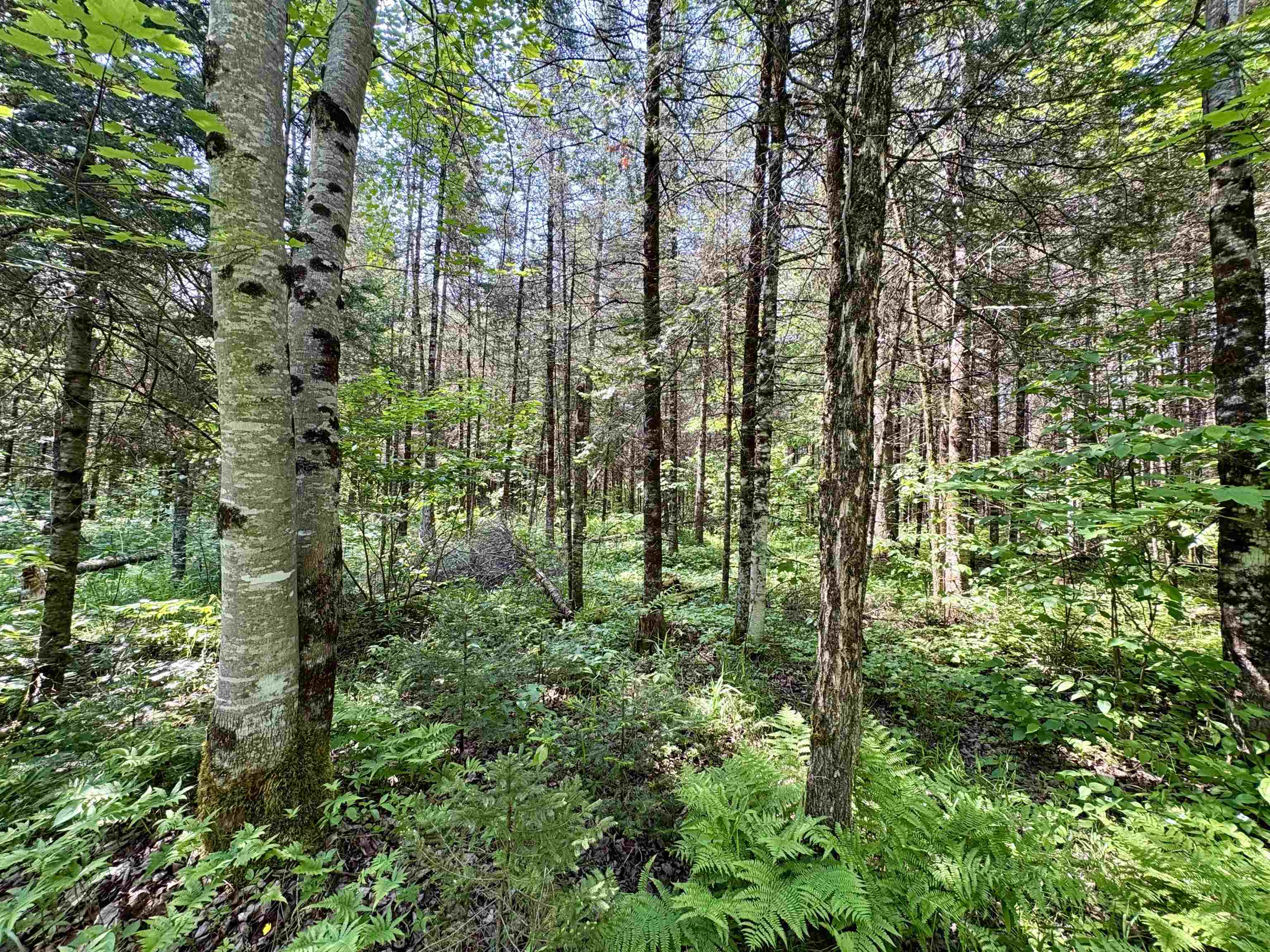 76557 DERINGER ROAD, Glidden, Wisconsin 54527, ,Residential,For Sale,76557 DERINGER ROAD,22502728