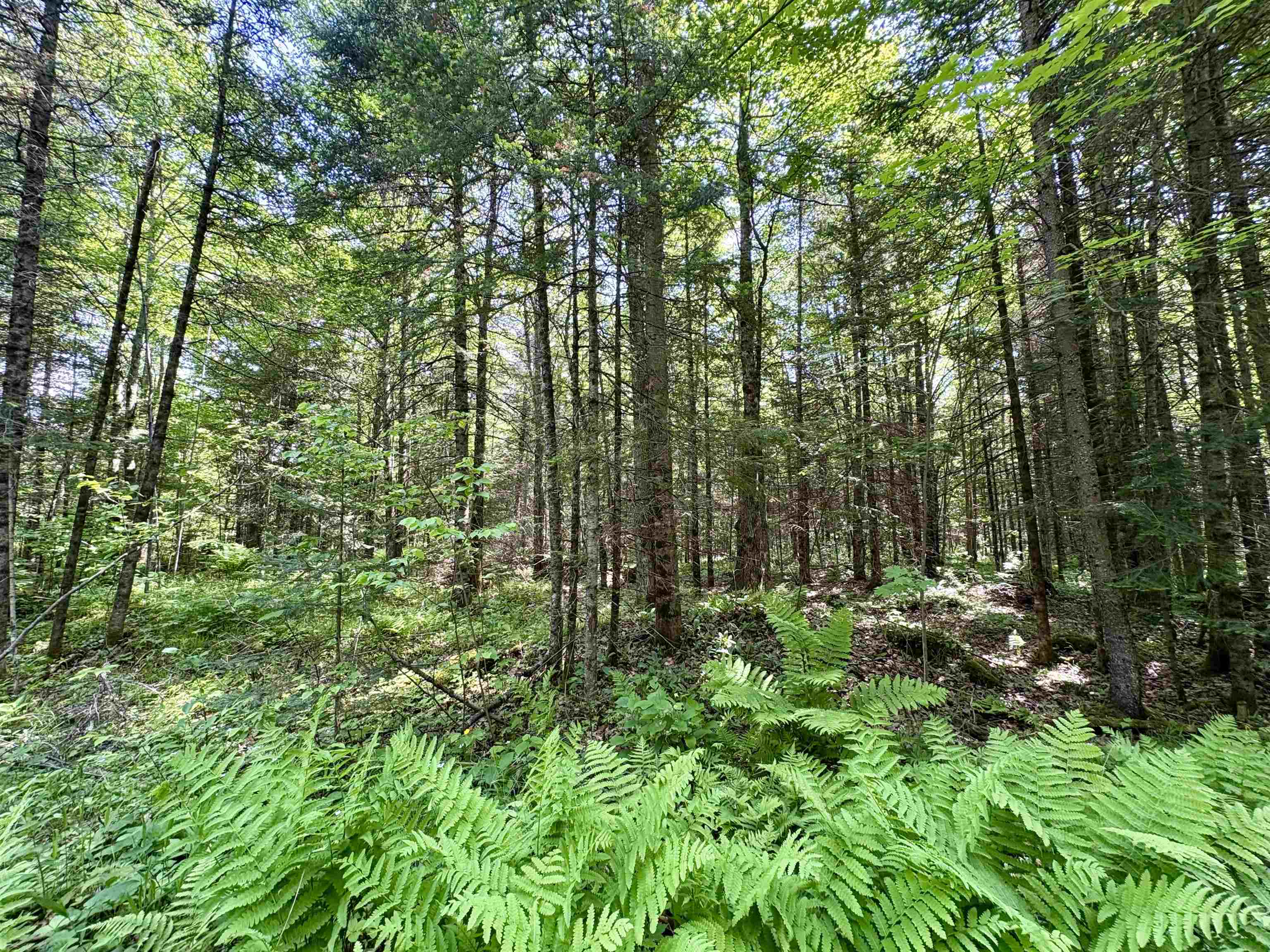 76557 DERINGER ROAD, Glidden, Wisconsin 54527, ,Residential,For Sale,76557 DERINGER ROAD,22502728