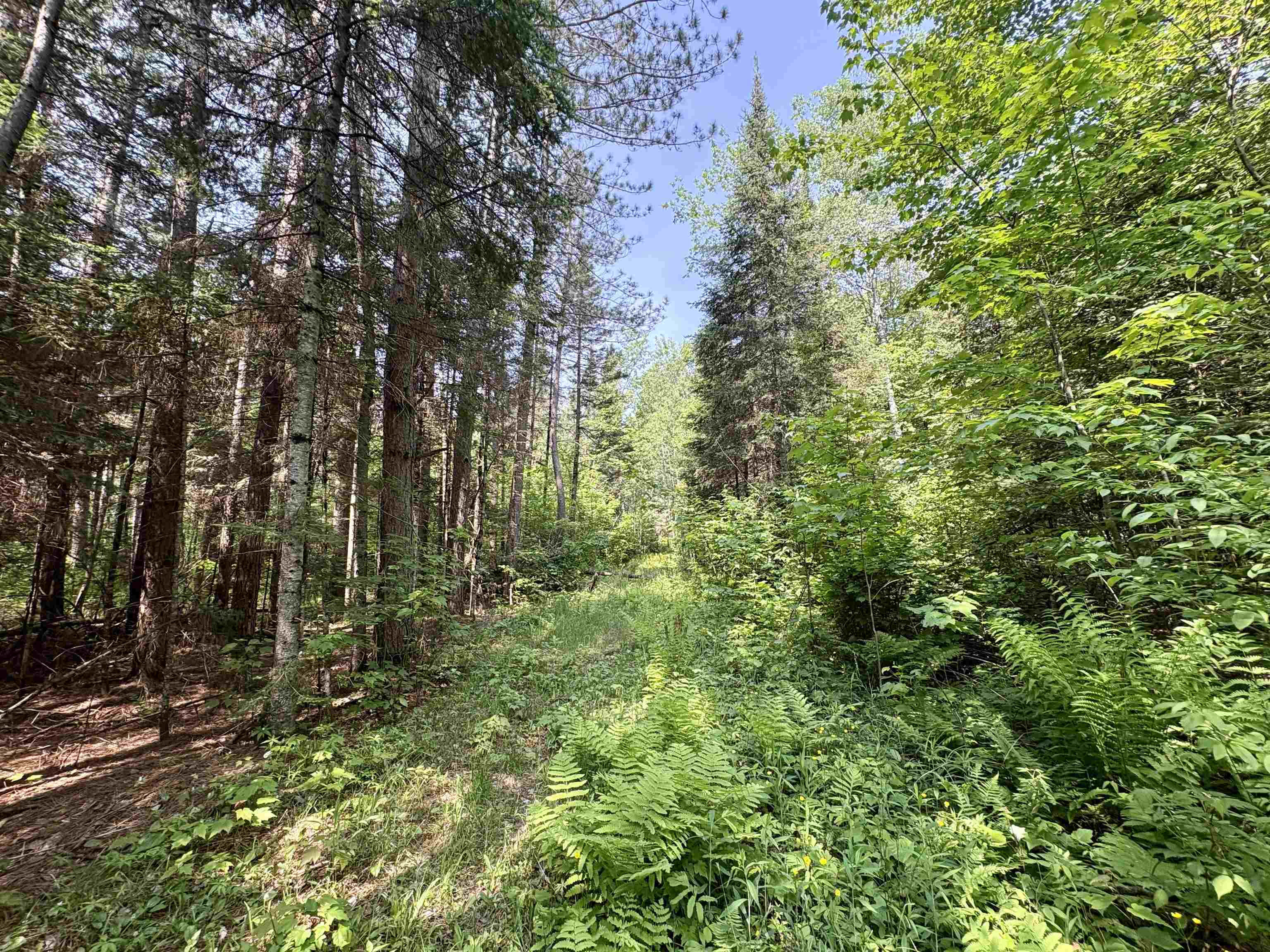 76557 DERINGER ROAD, Glidden, Wisconsin 54527, ,Residential,For Sale,76557 DERINGER ROAD,22502728