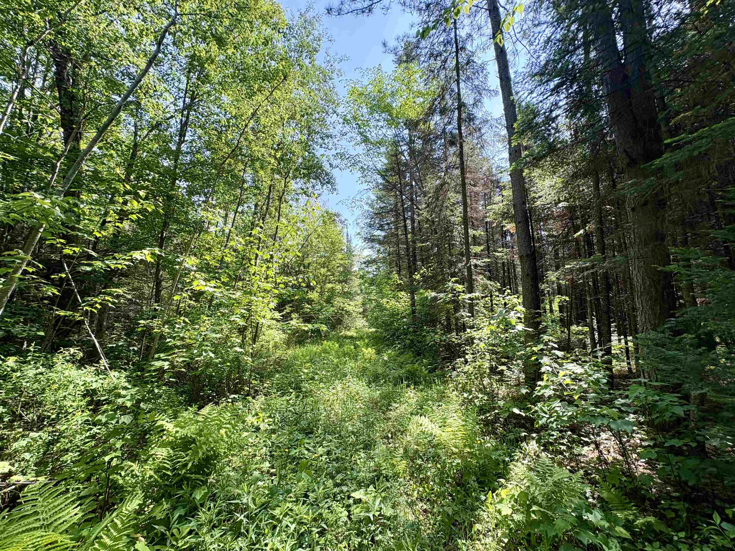 76557 DERINGER ROAD, Glidden, Wisconsin 54527, ,Residential,For Sale,76557 DERINGER ROAD,22502728