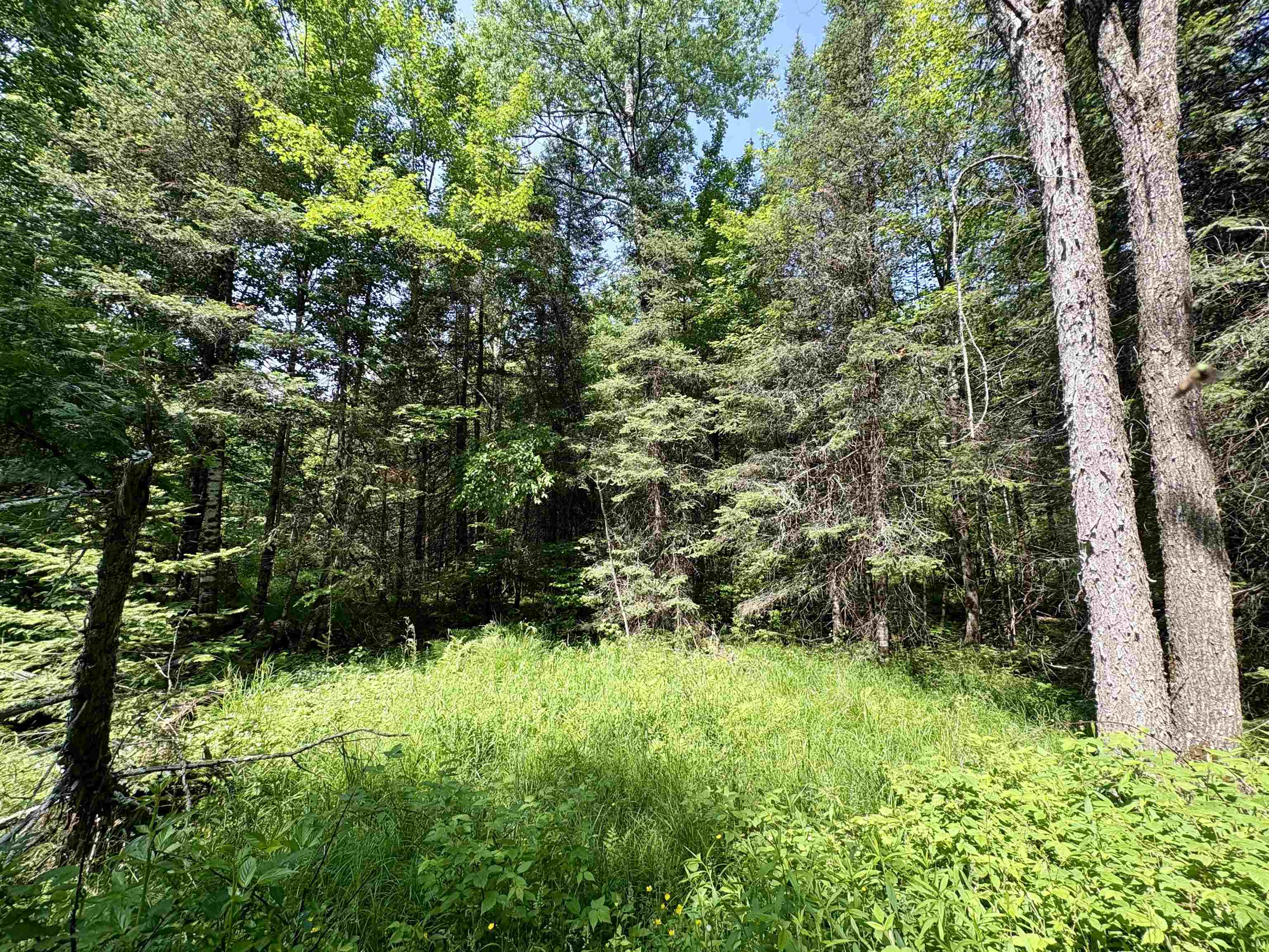 76557 DERINGER ROAD, Glidden, Wisconsin 54527, ,Residential,For Sale,76557 DERINGER ROAD,22502728