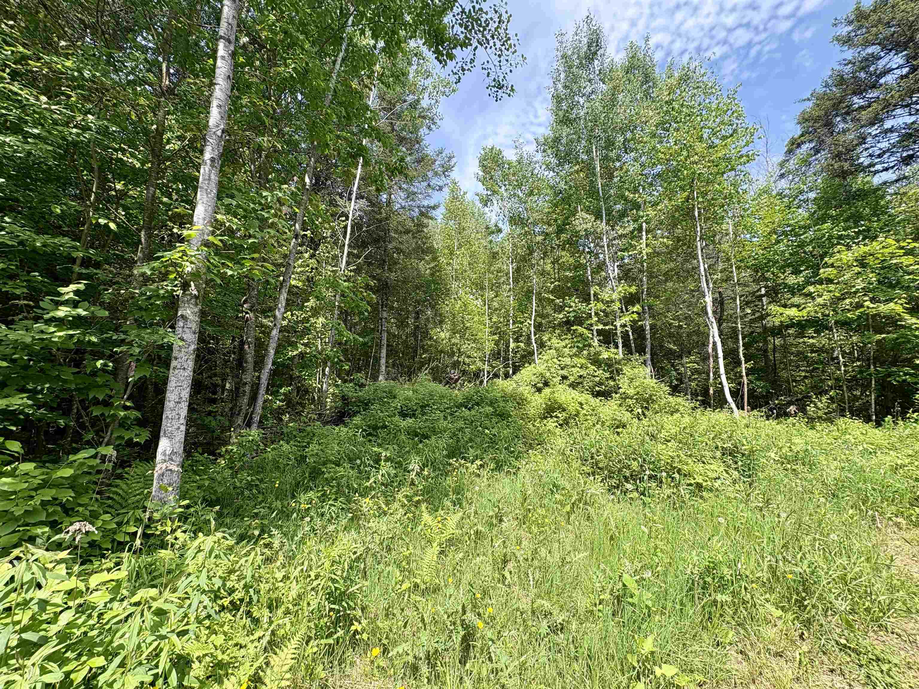 76557 DERINGER ROAD, Glidden, Wisconsin 54527, ,Residential,For Sale,76557 DERINGER ROAD,22502728